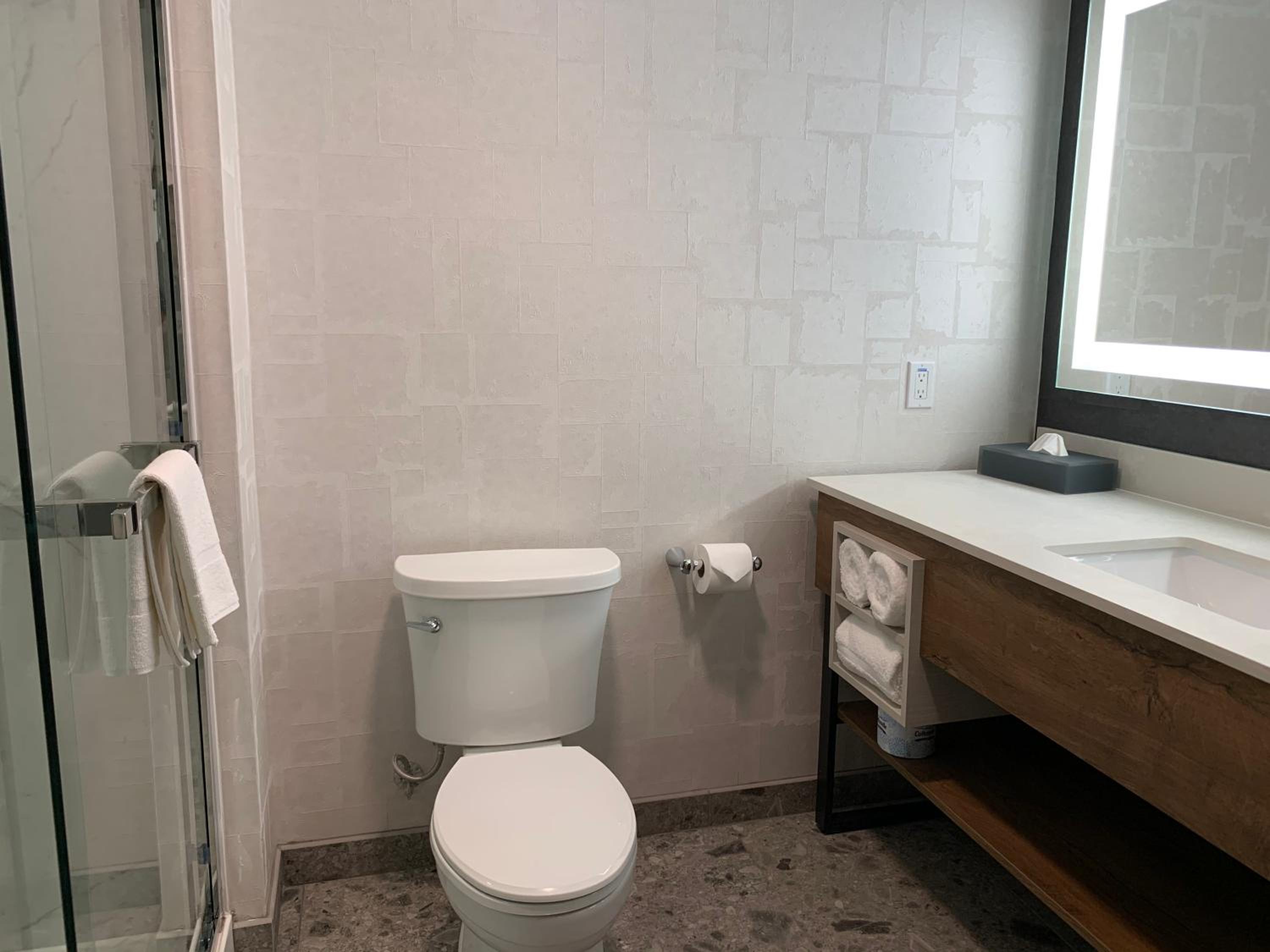 Deluxe King Room - Non-Smoking - Photo 11