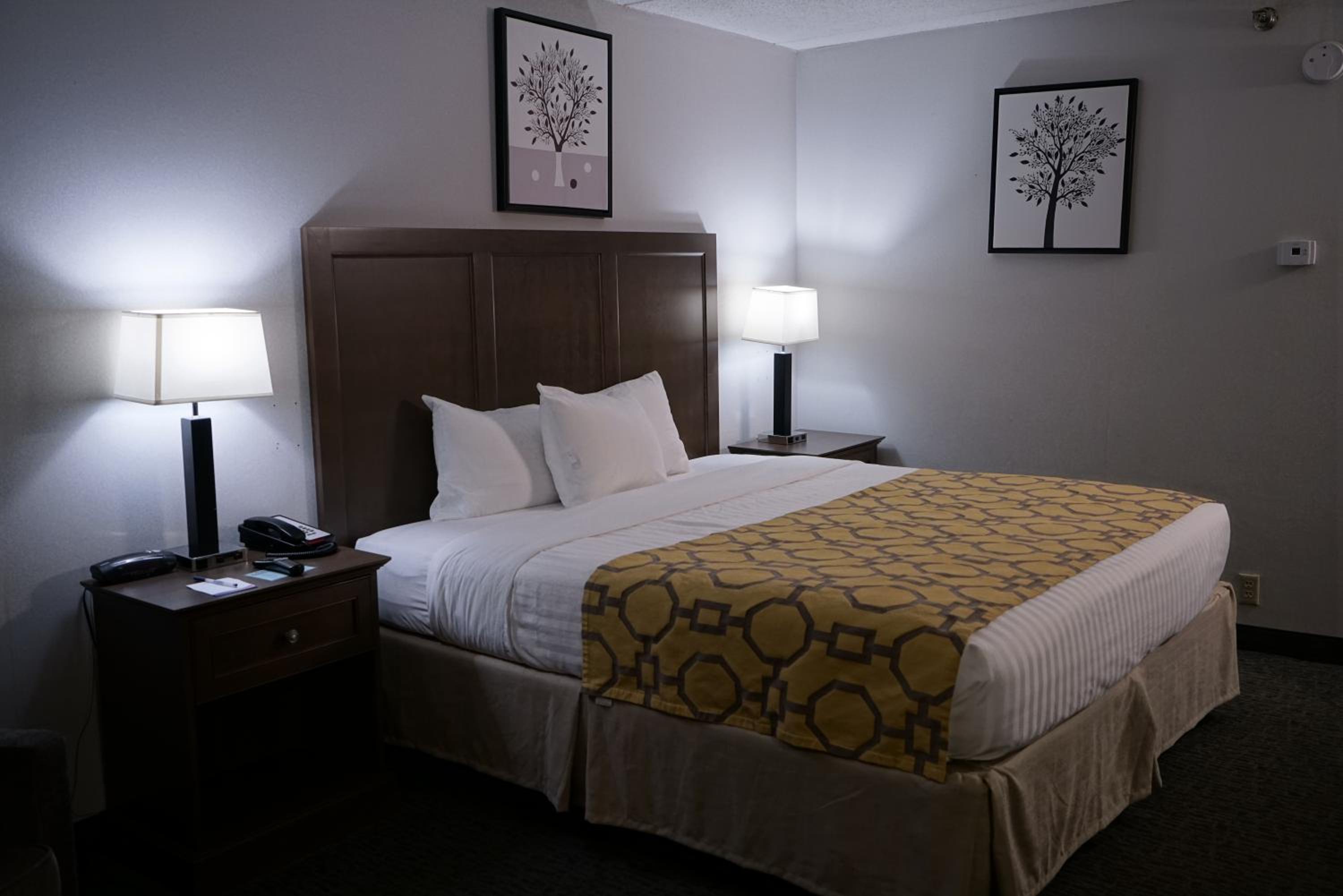 King Room - Non-Smoking - Photo 6