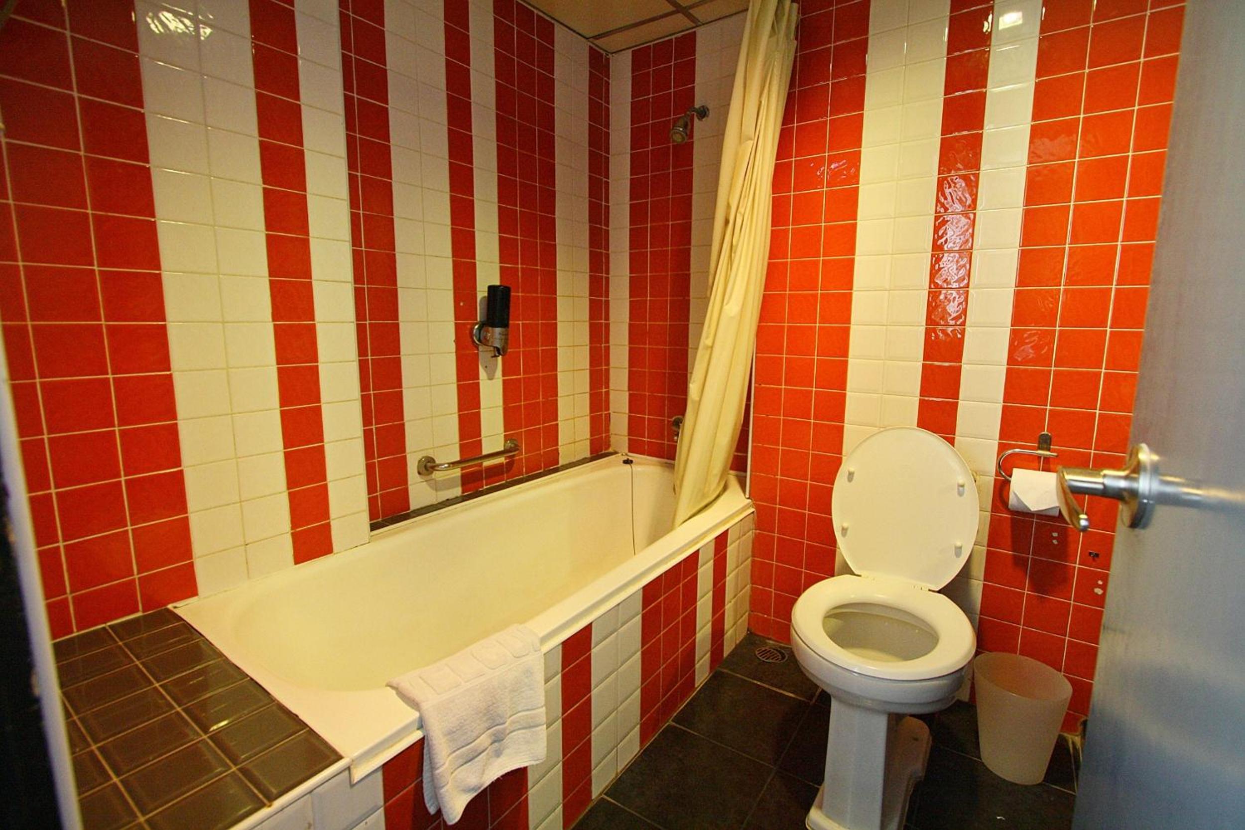 Deluxe Double or Twin Room photo 3