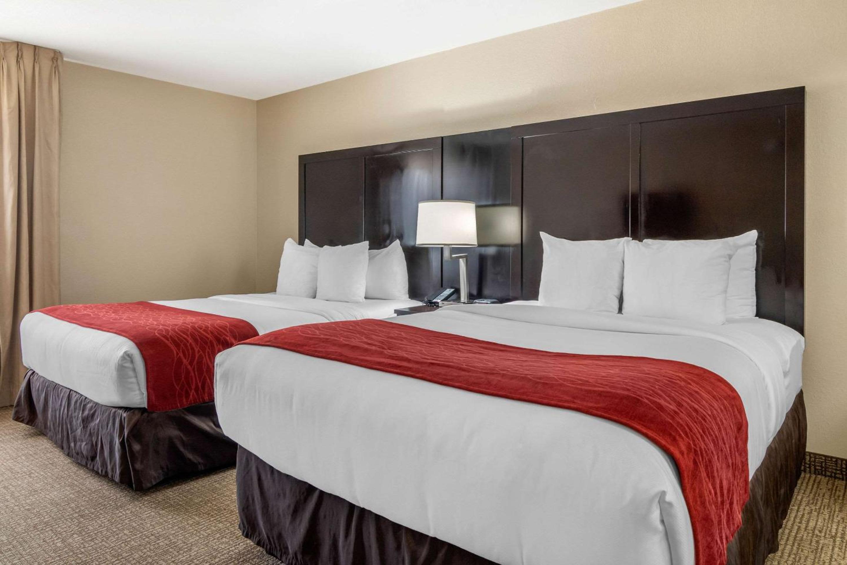 Queen Suite with Two Queen Beds - Non-Smoking - Photo 4