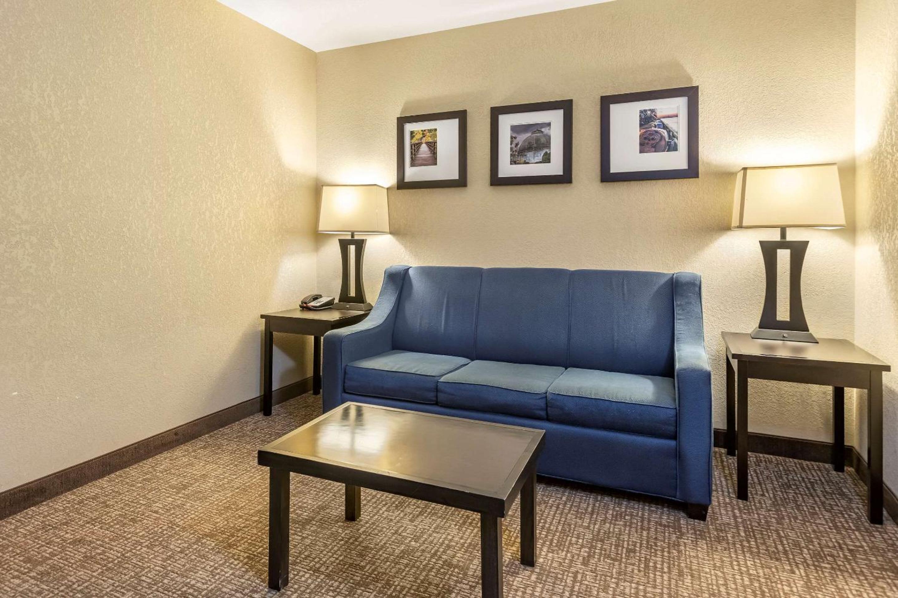 King Suite with Sofa Bed - Non-Smoking - Photo 5