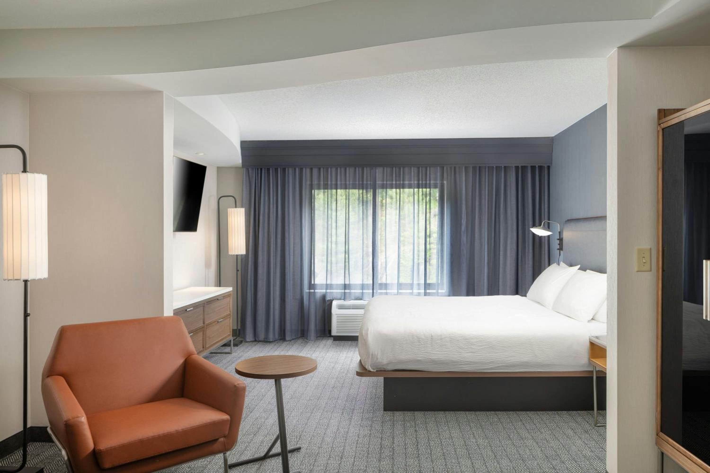 King Room with Roll-In Shower and Sofa Bed - Mobility Access