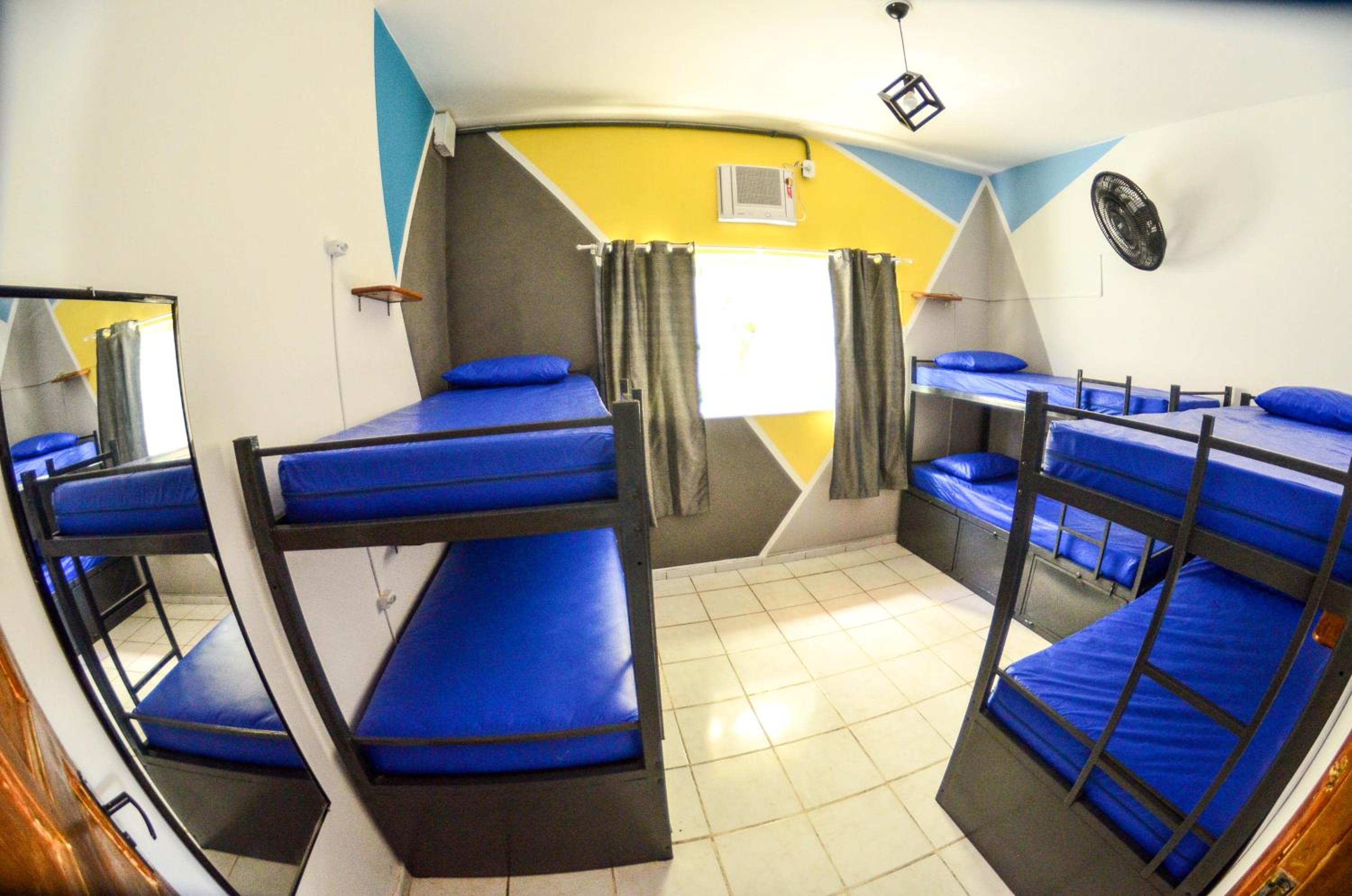 Bed in 6-Bed Mixed Dormitory Room photo 1
