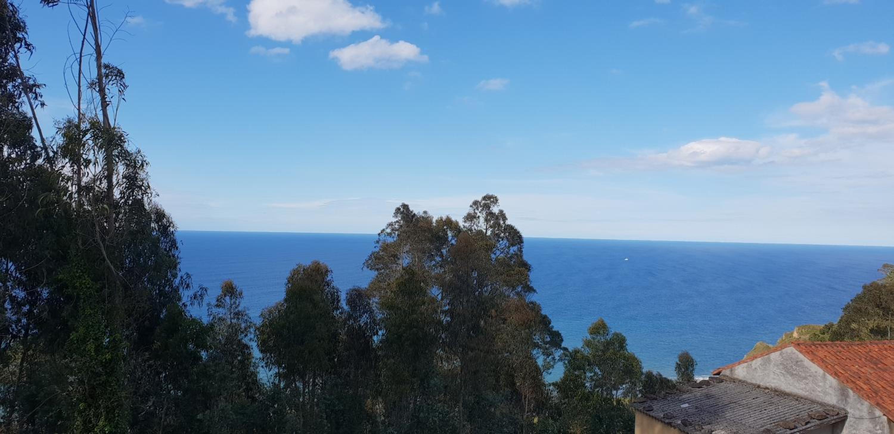 Studio Apartment with Sea View photo 2