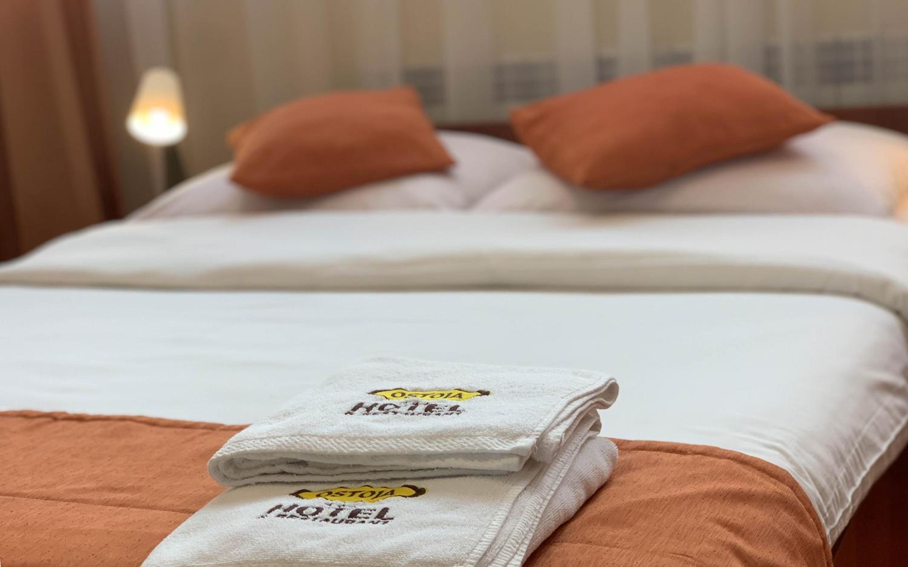 Double or Twin Room photo 1