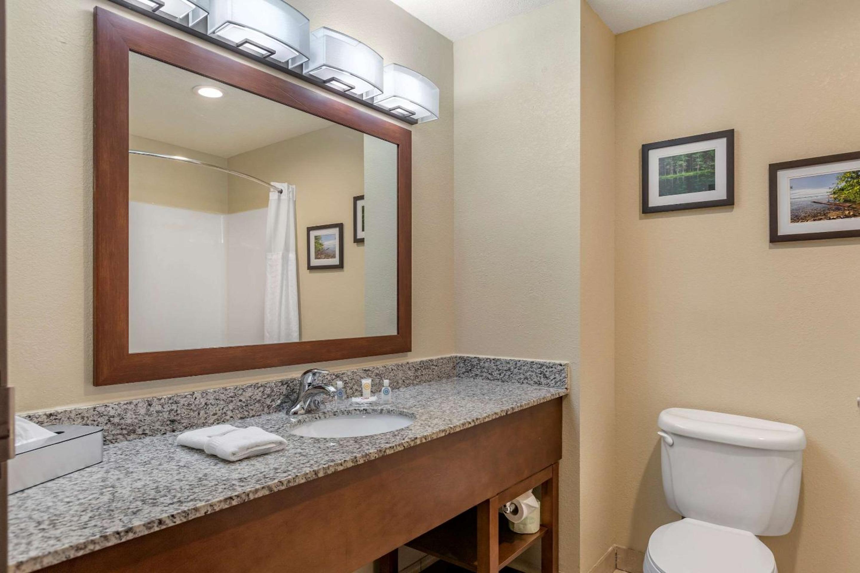 King Suite - Non-Smoking - Photo 3