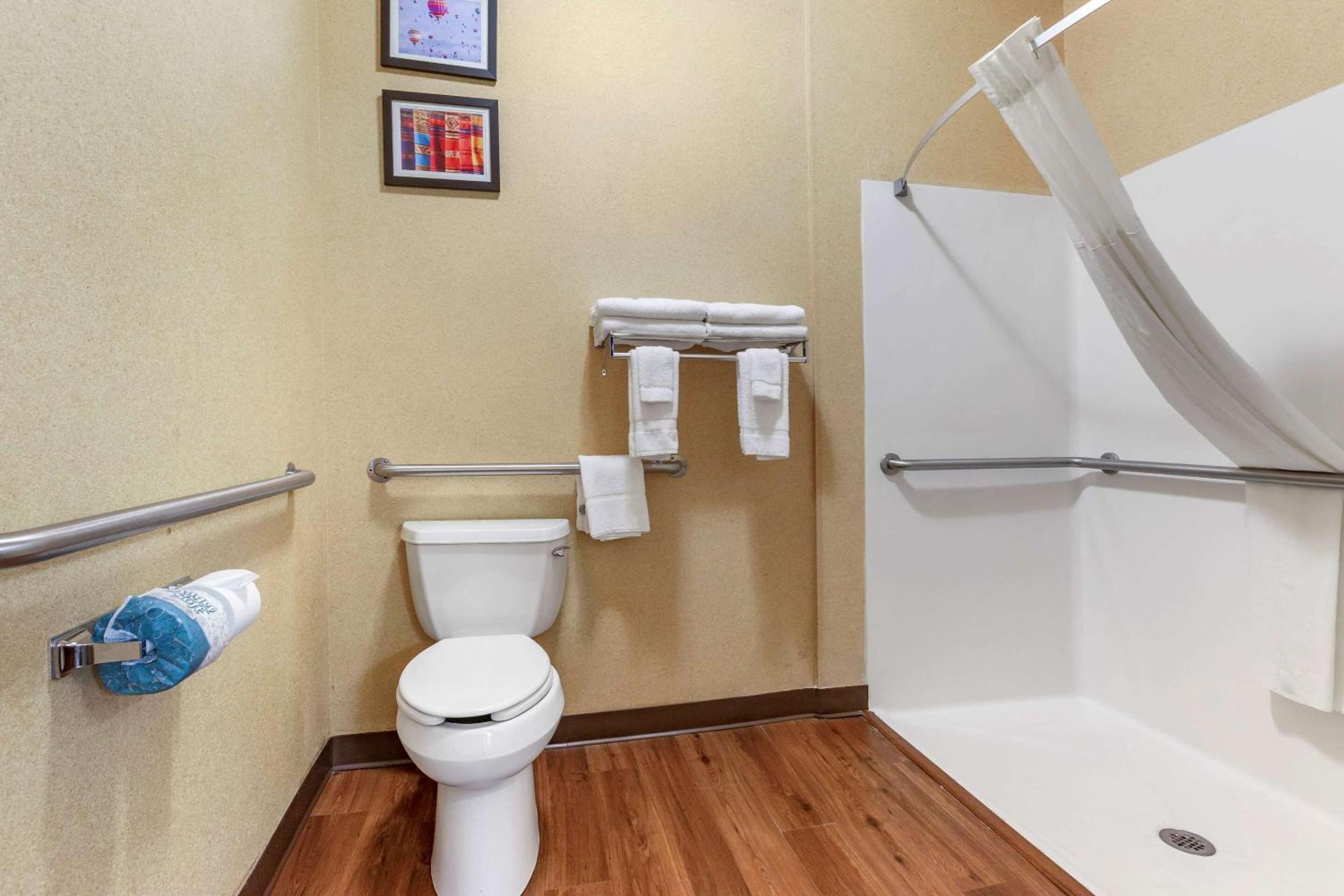 King Suite - Accessible/Non-Smoking - Photo 4