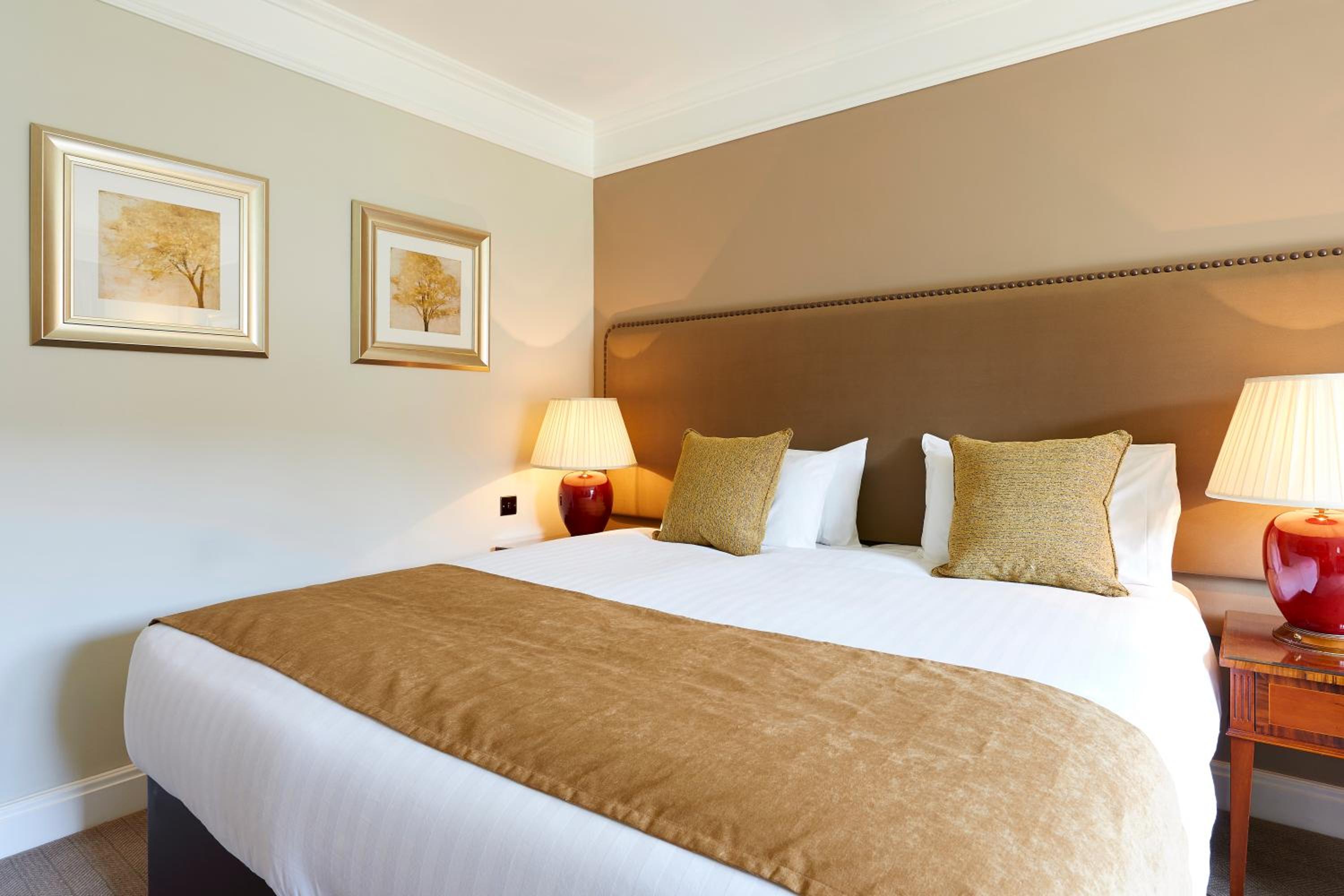 Superior King Room photo 1