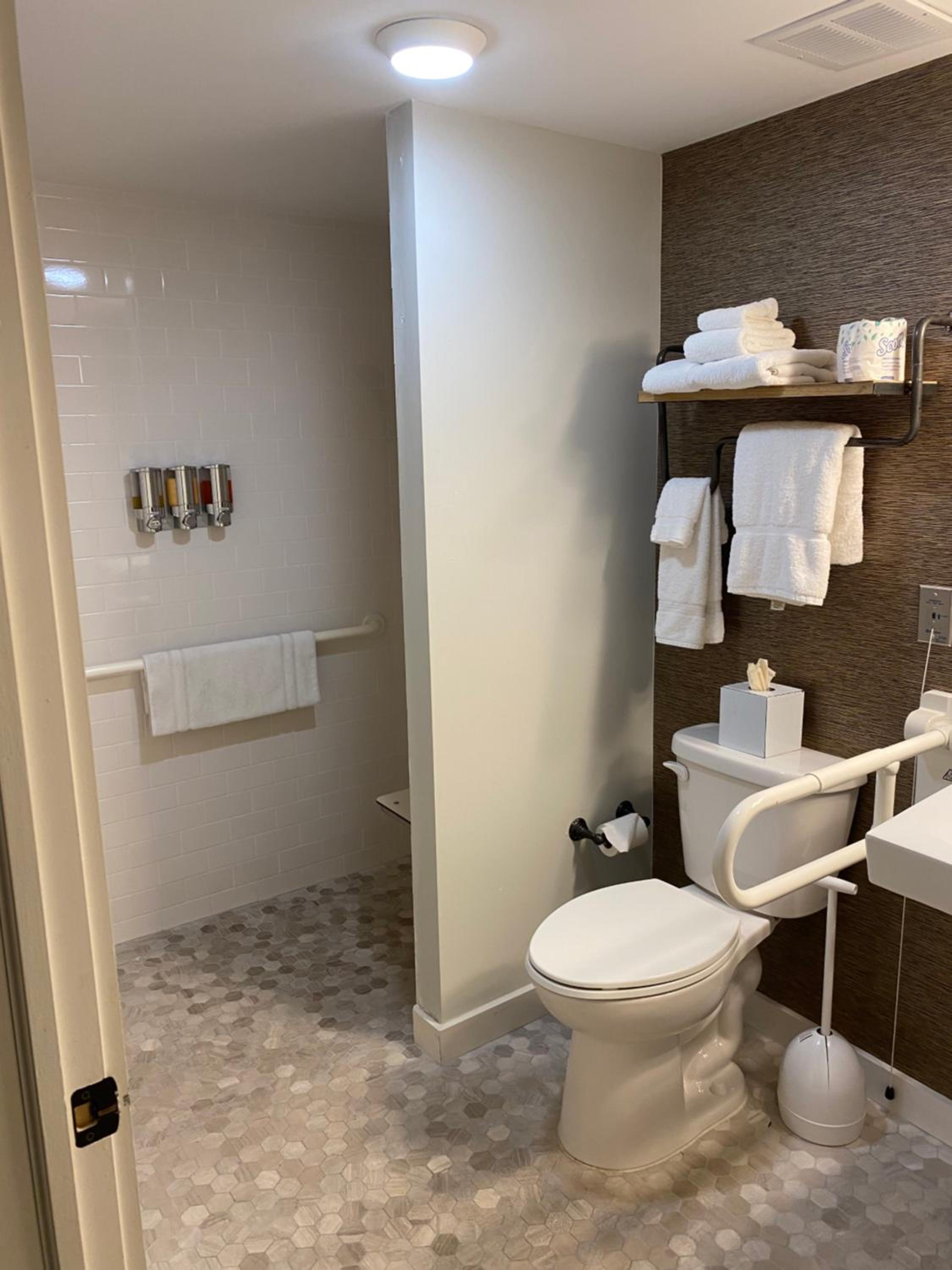 Executive Queen Mobility Accessible with Roll-In Shower photo 2