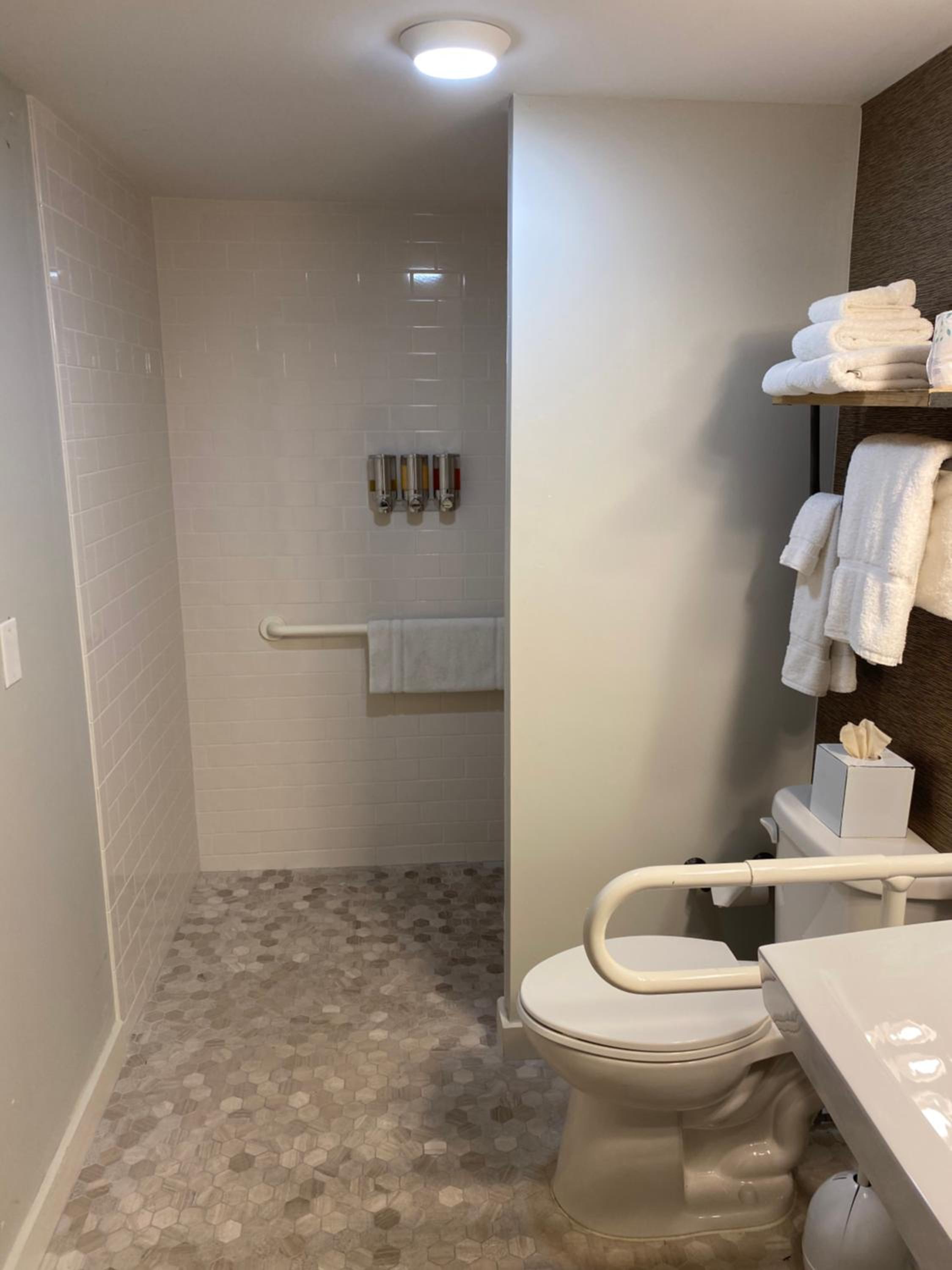 Executive Queen Mobility Accessible with Roll-In Shower photo 3
