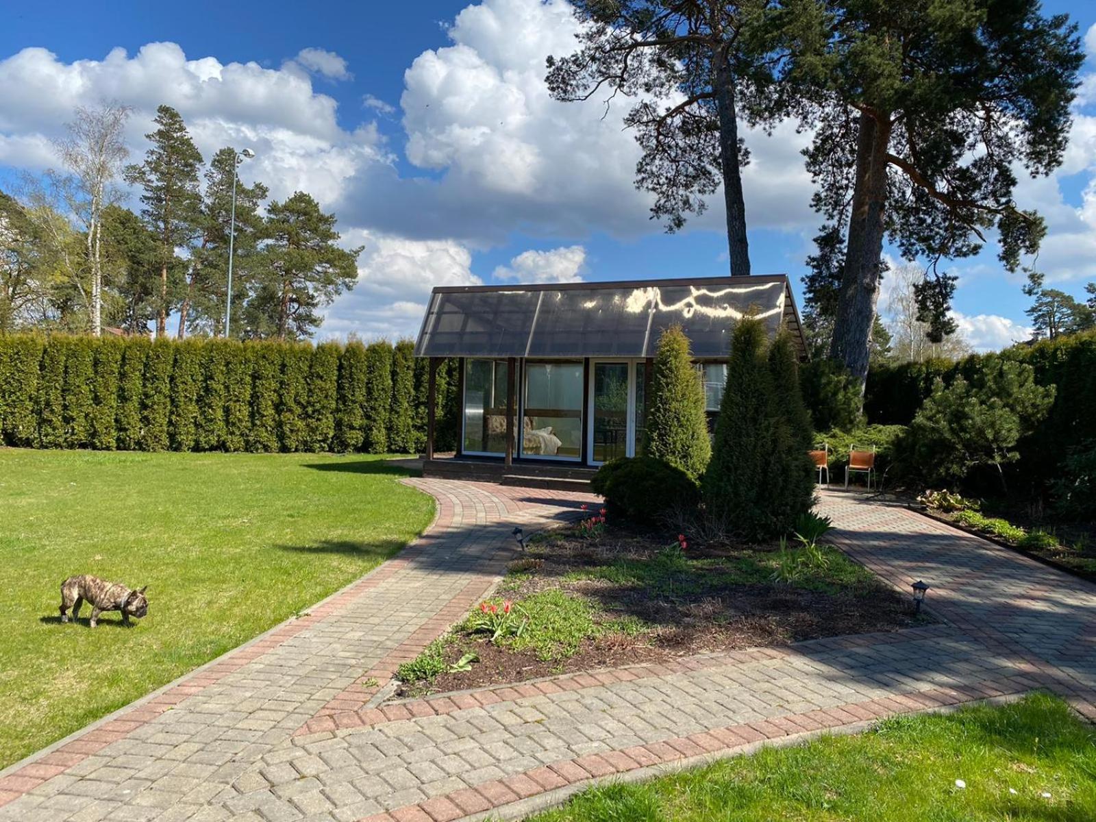 Family Room with Garden View - Photo 8