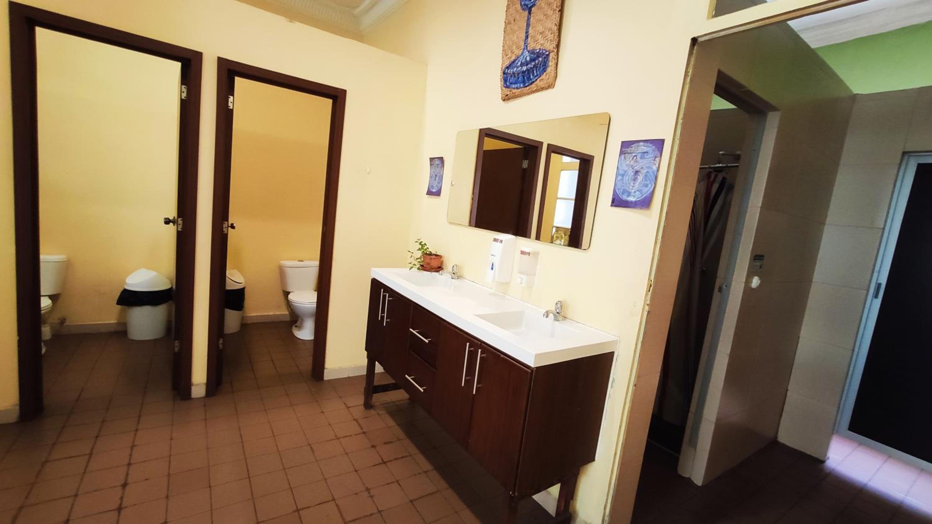 Single Bed in Female Dormitory Room photo 2