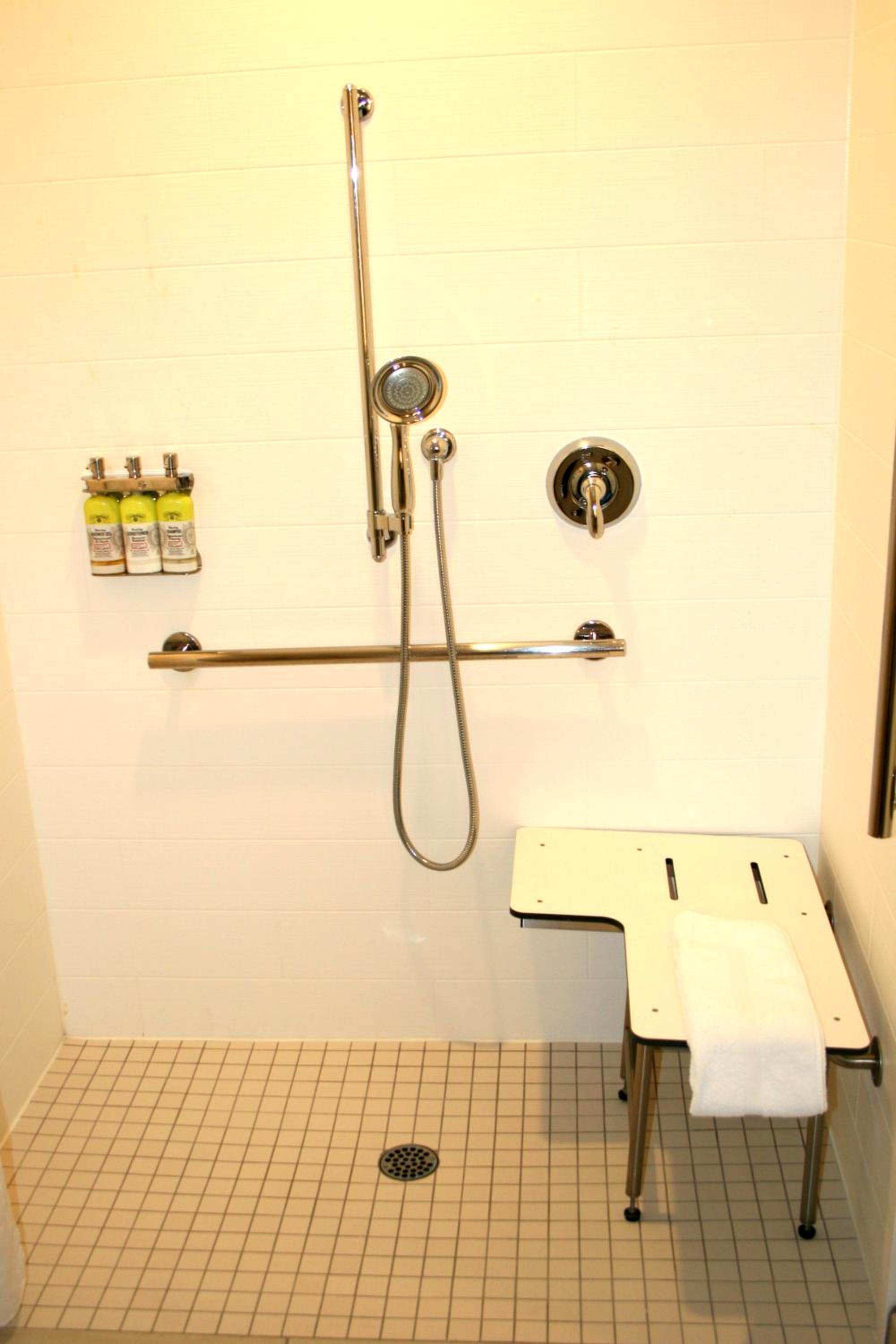 Standard King Room with Roll-In Shower - Communications Access - Photo 5