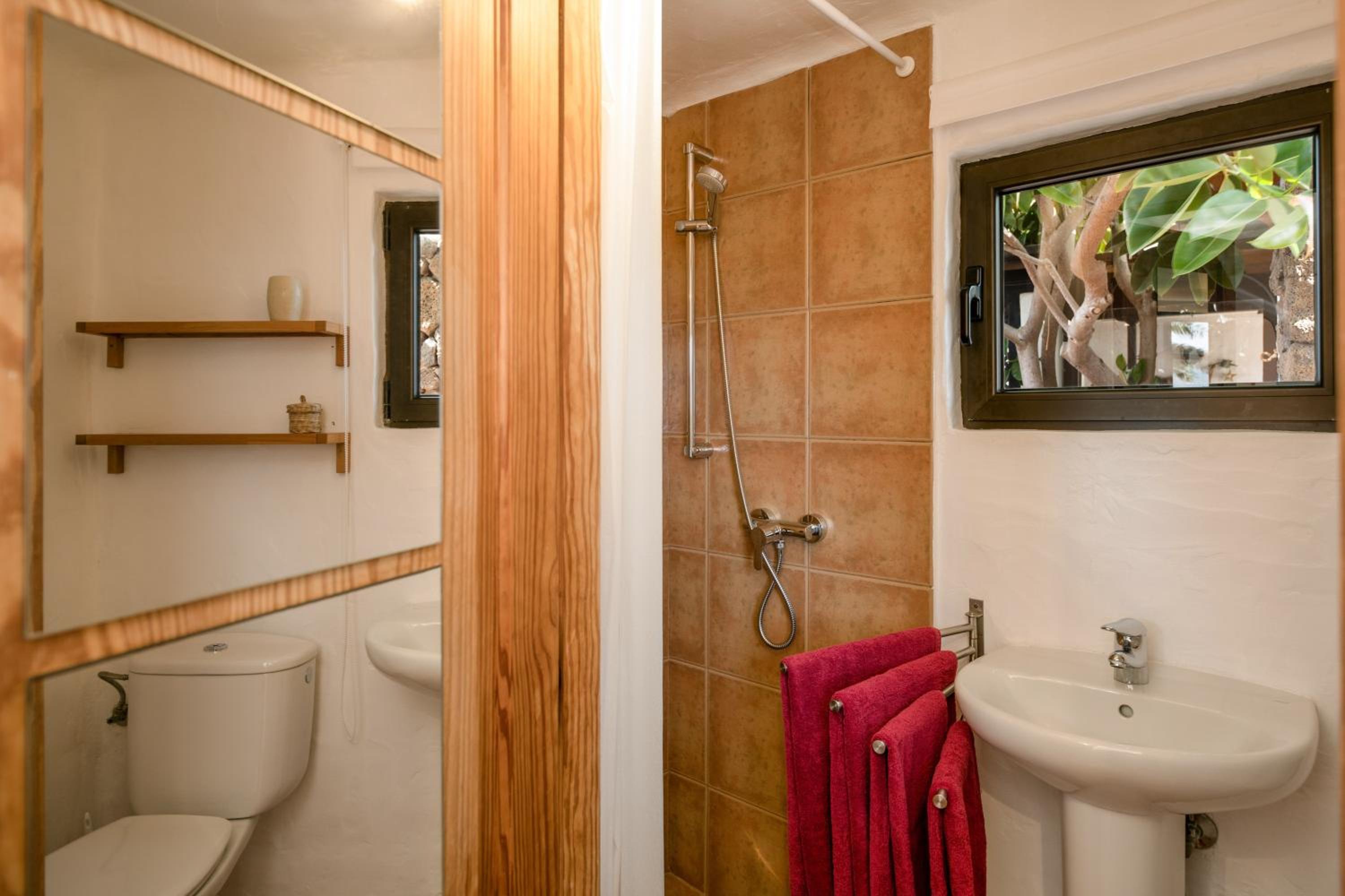 One-Bedroom House - Photo 6