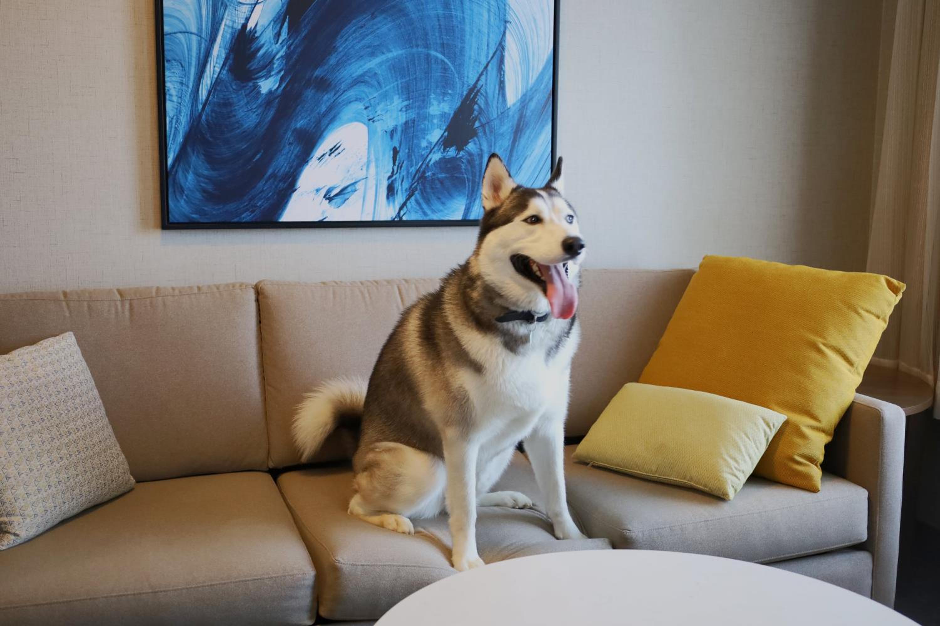 King Studio Suite - Photo 3