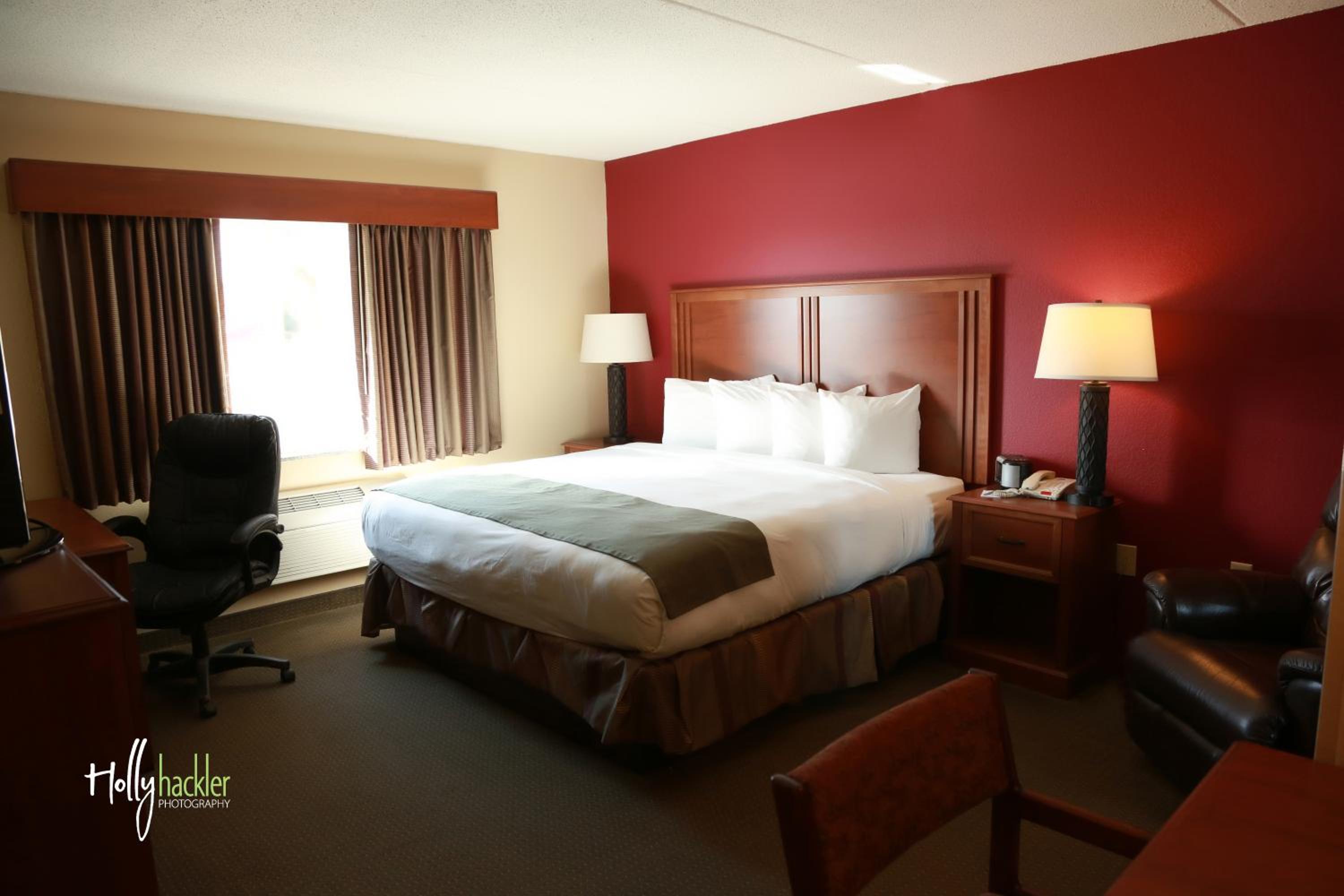 Premier King Suite - Non-Smoking - Photo 1