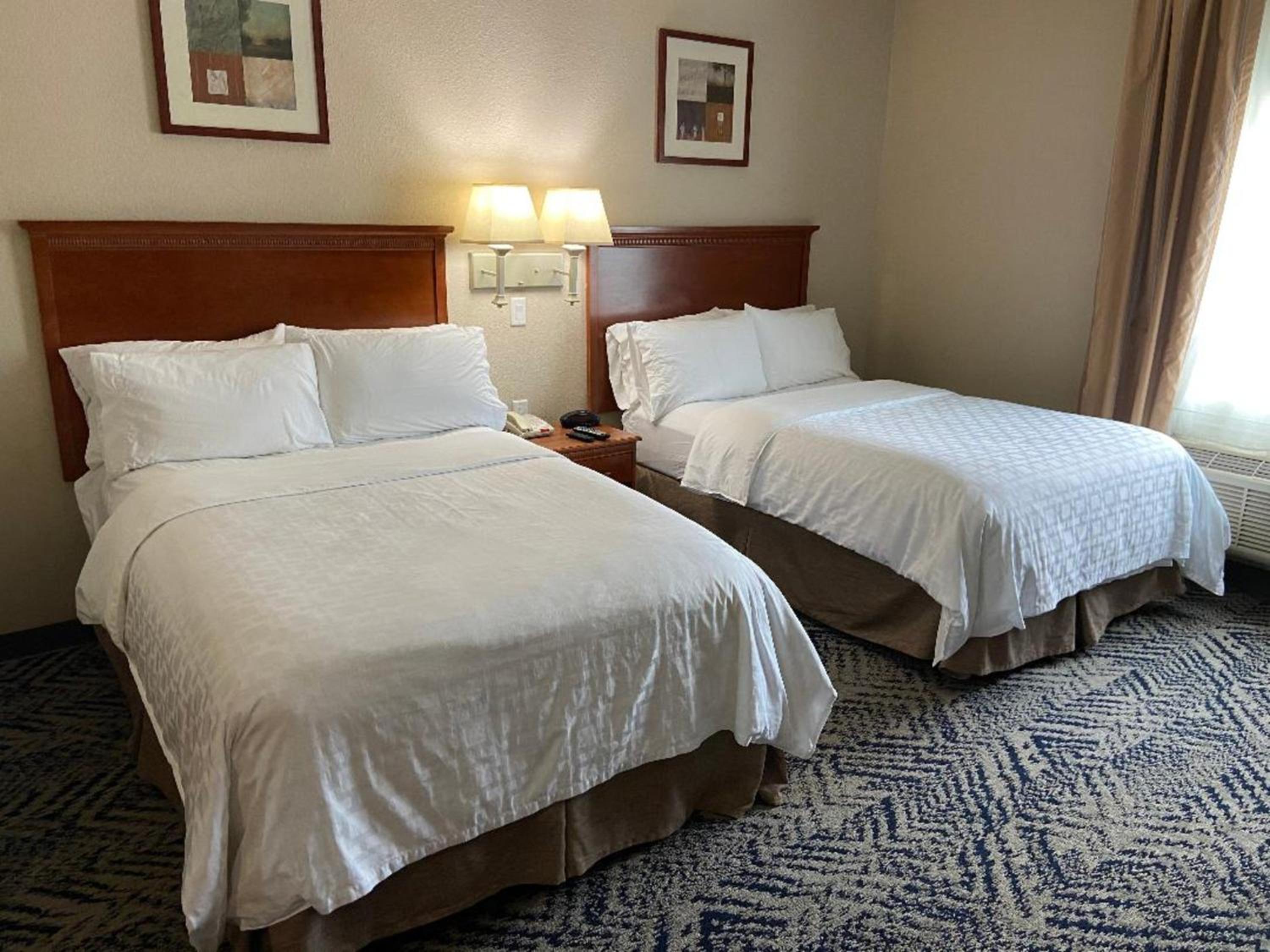 Studio Suite with Two Double Beds - Photo 4