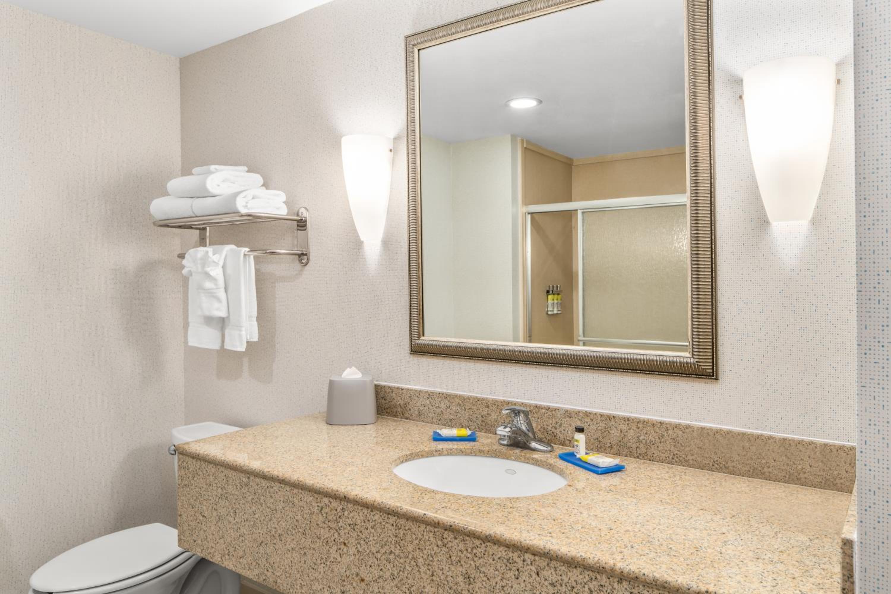 King Suite - Non-Smoking - Photo 4