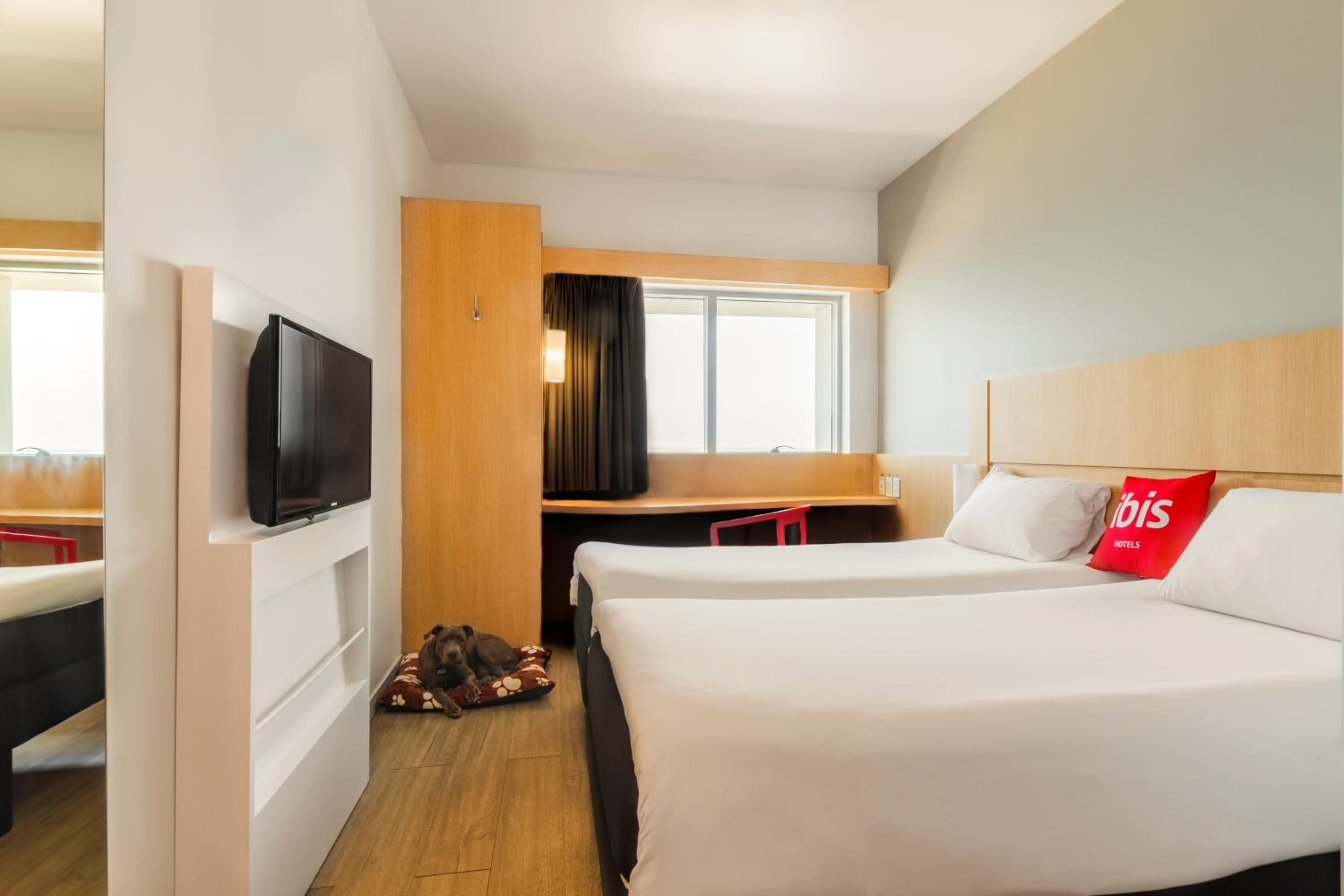 Standard Twin Room photo 2