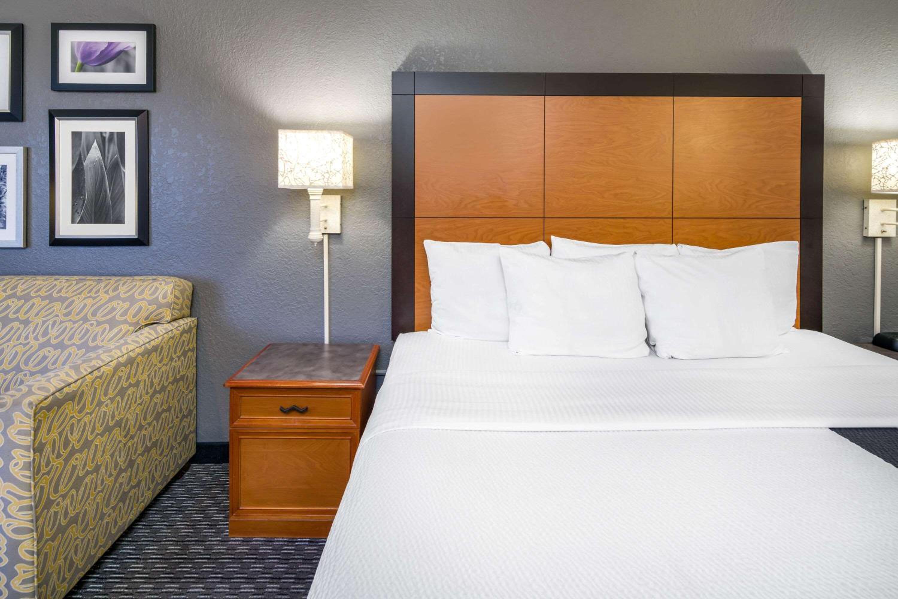 King Room photo 3