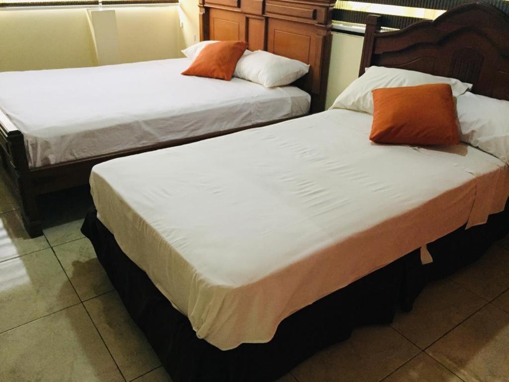 Twin Room photo 1