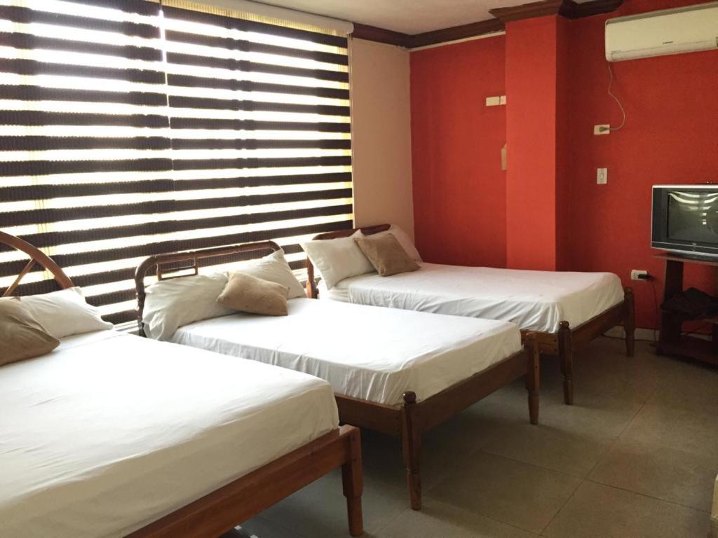 Comfort Triple Room photo 1