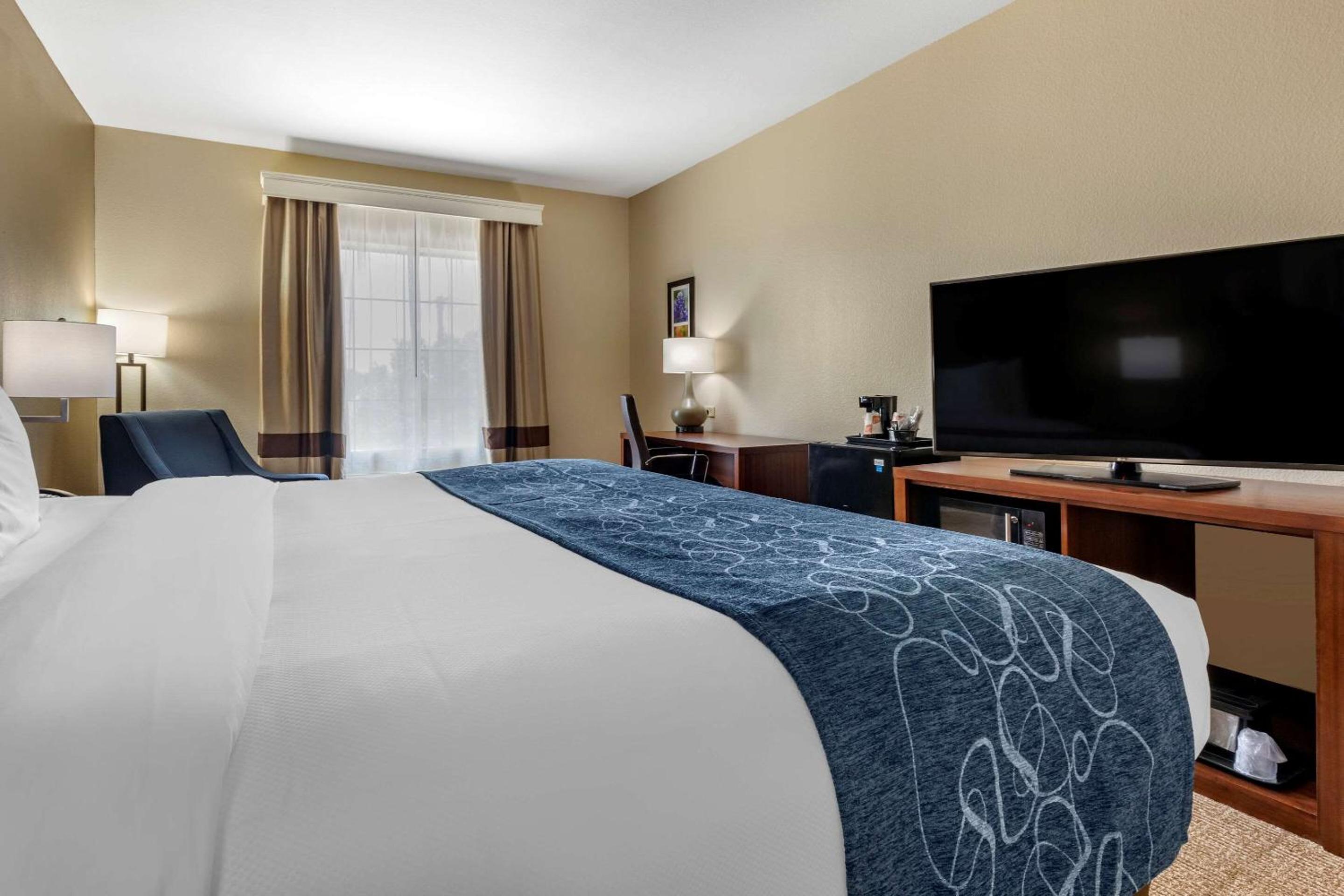 King Room - Non-Smoking - Photo 3