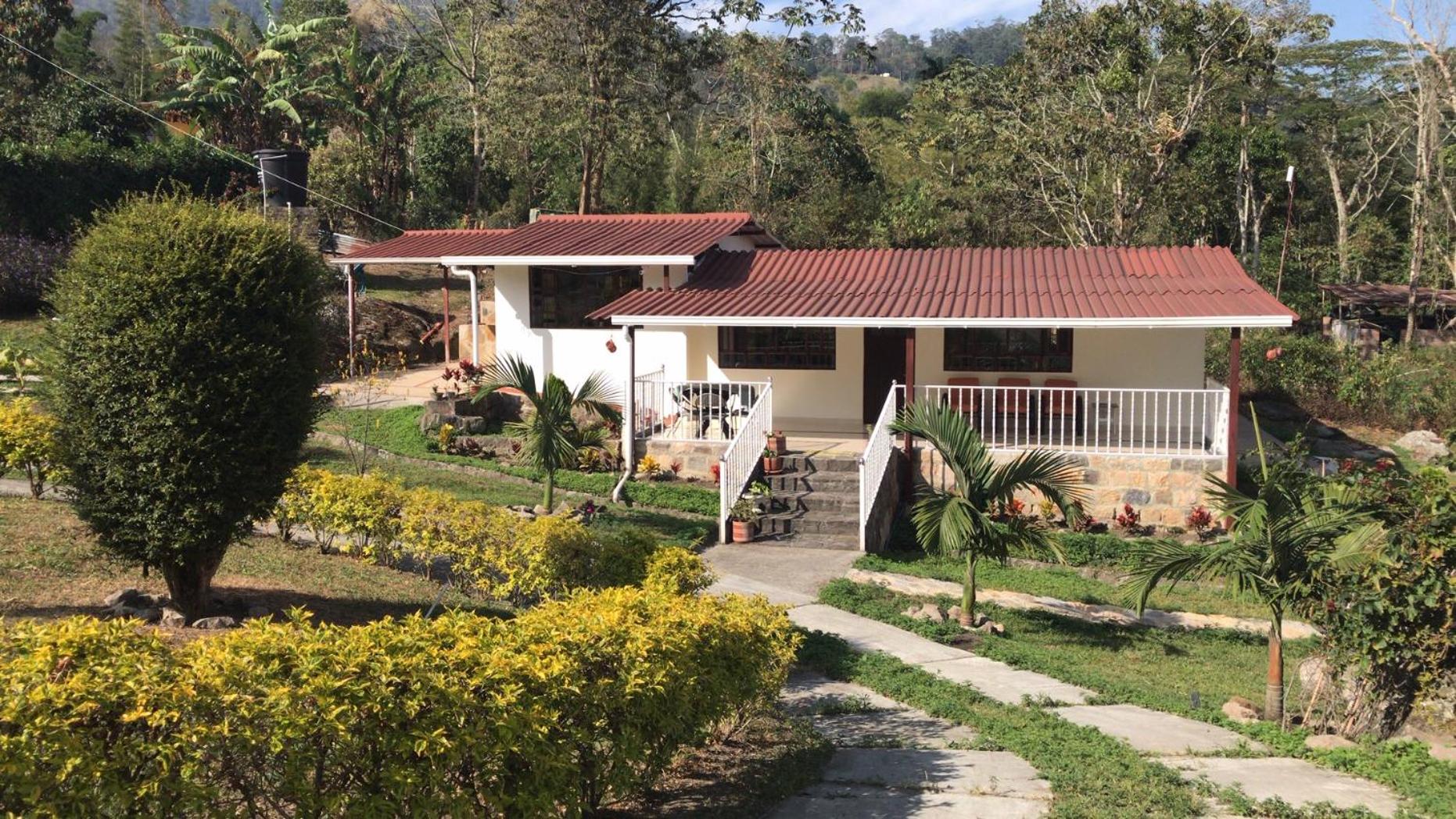 Superior Villa photo 2