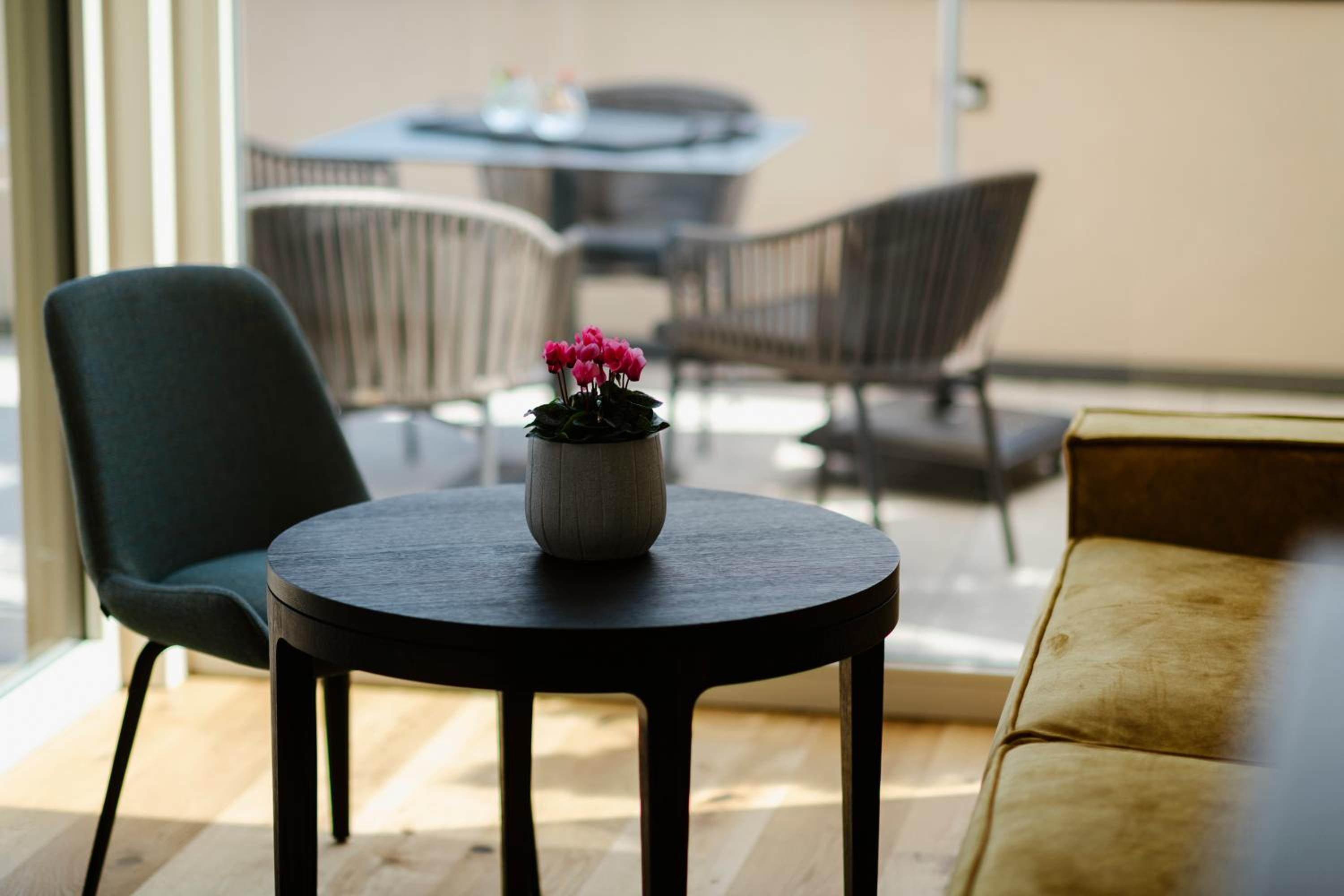Suite with Terrace photo 2