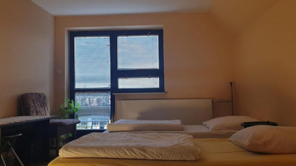 Twin Room photo 3