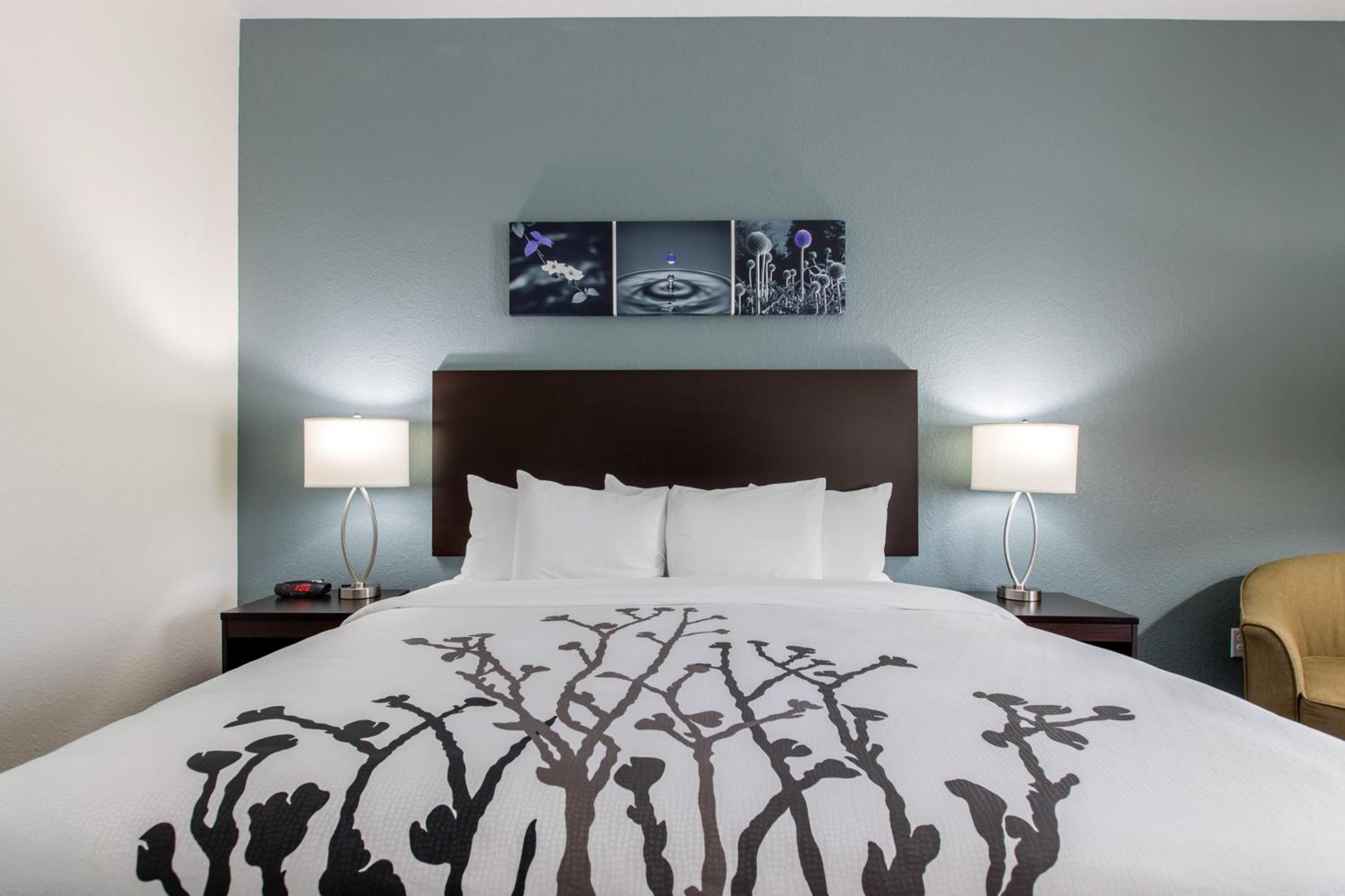 King Room - Accessible/Non-Smoking photo 1