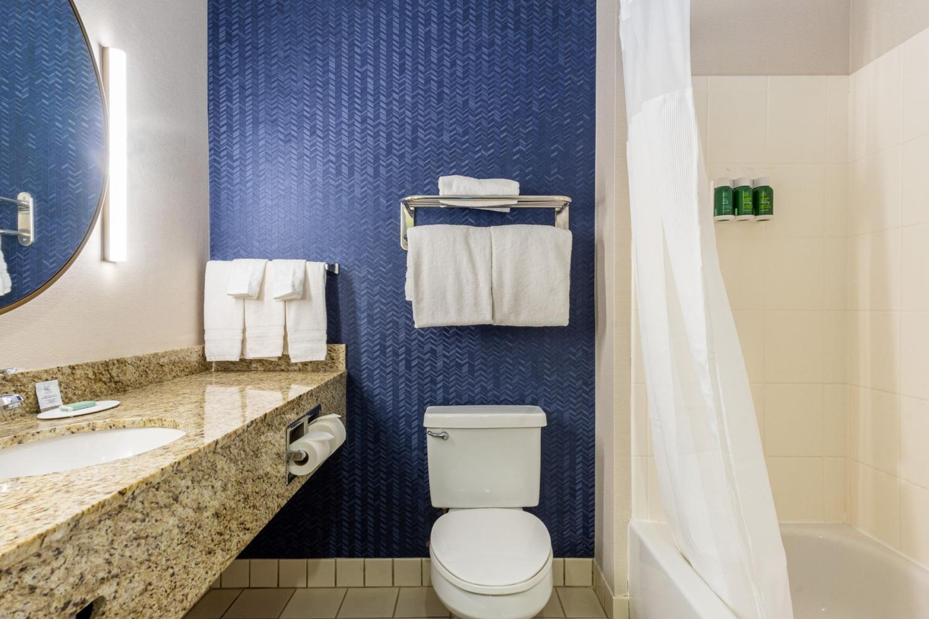 Studio with King Bed, Bathtub and Sofa Bed - Mobility Access/Hearing Accessible