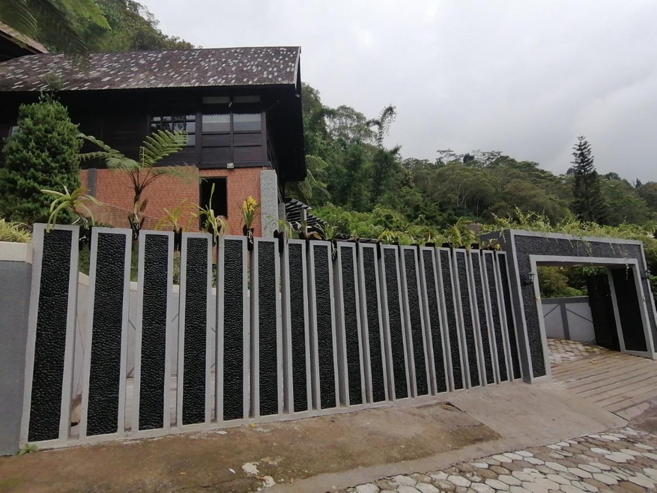 Three-Bedroom Villa - Photo 3