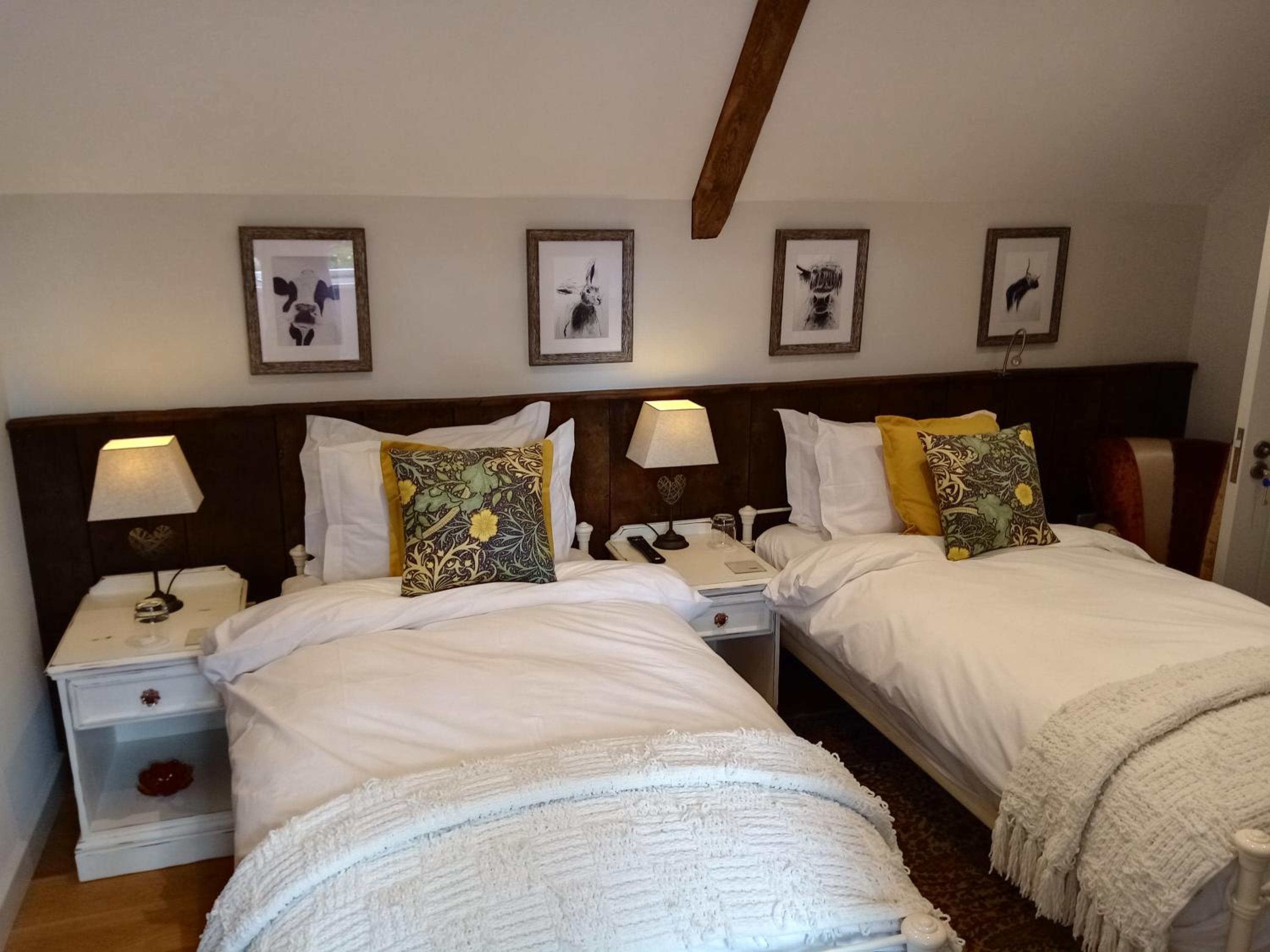 Large Double or Twin Room photo 2