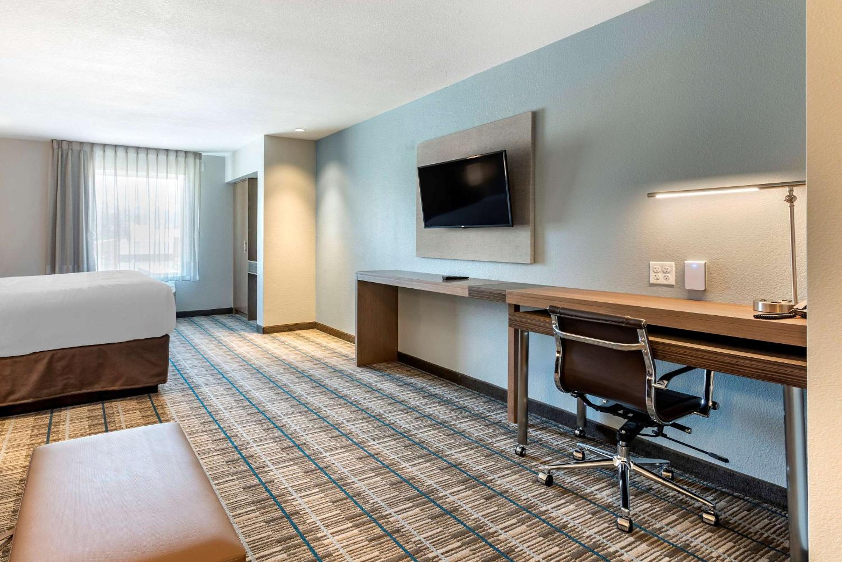 Efficiency King Suite - Accessible/Non-Smoking - Photo 4