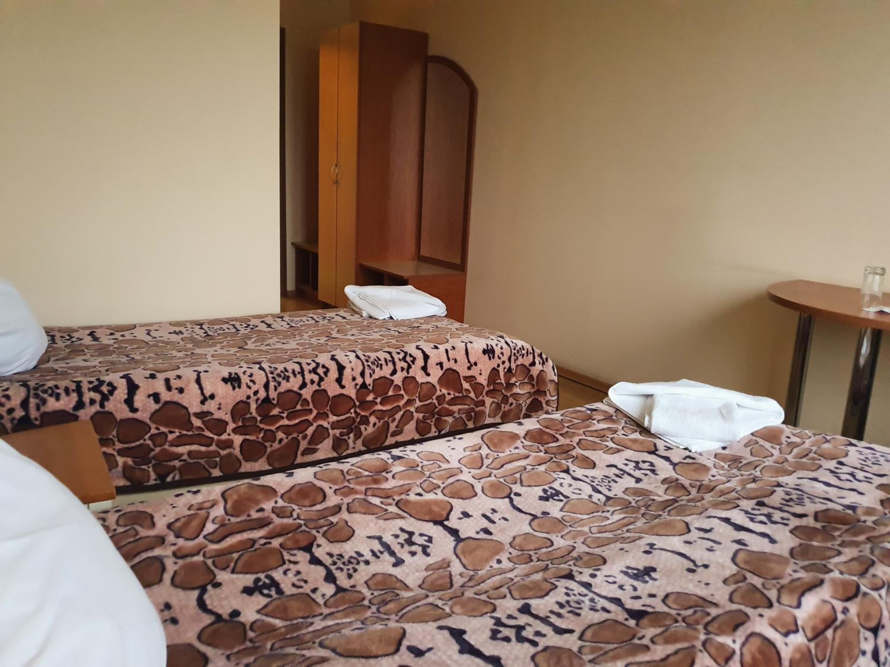 Twin Room photo 2