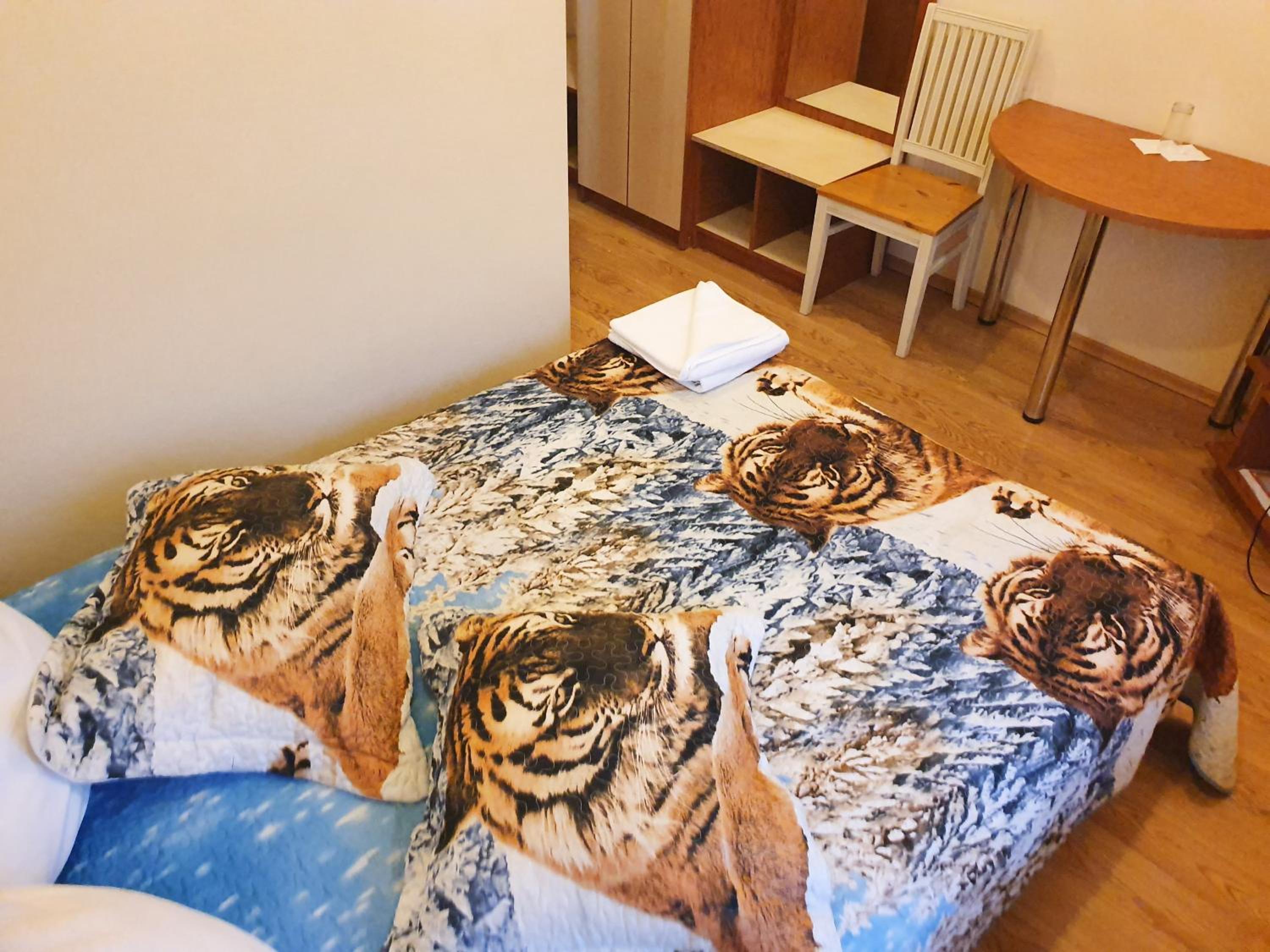 Single Room photo 2