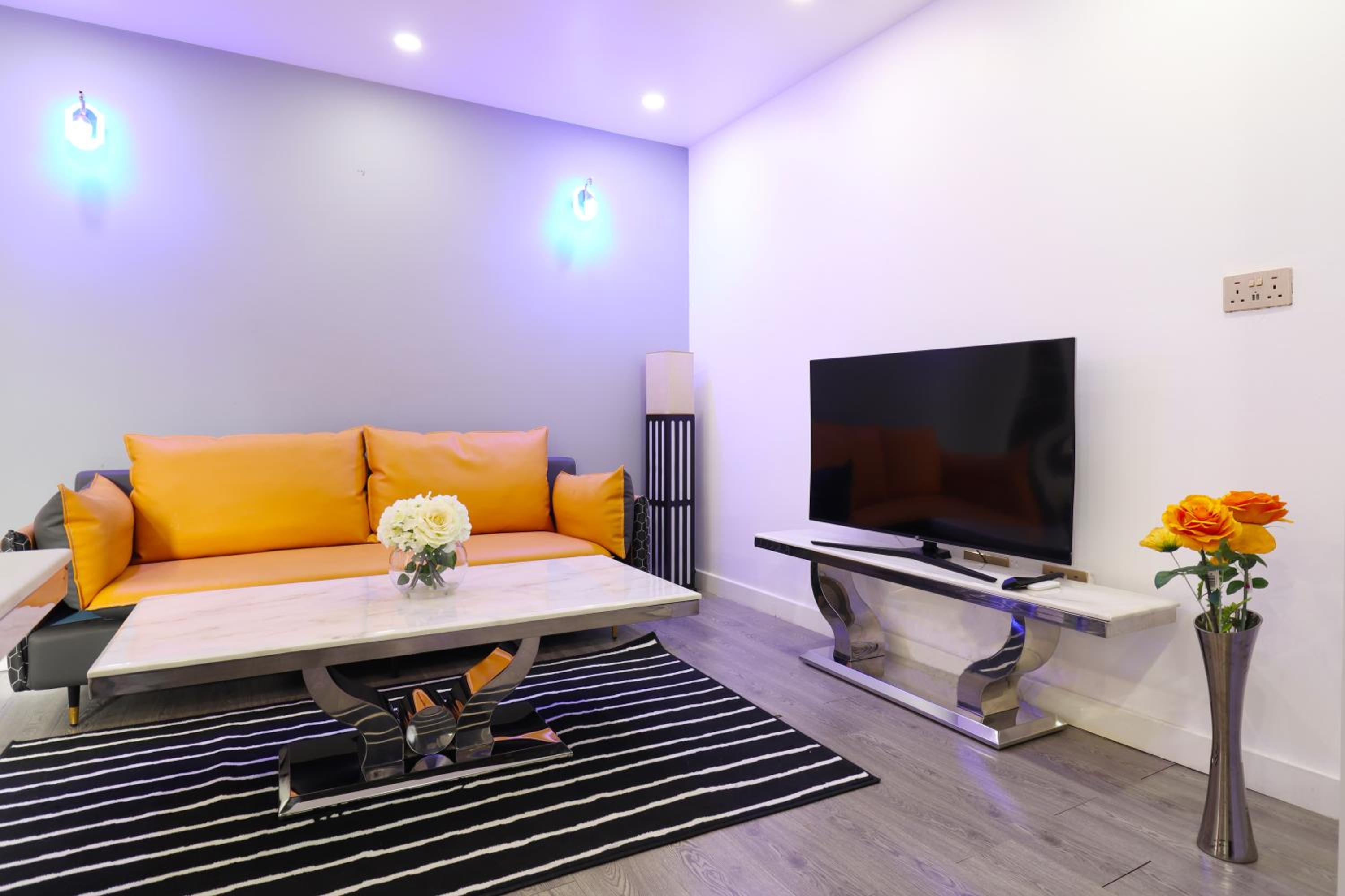 Large One-Bedroom Apartment photo 3