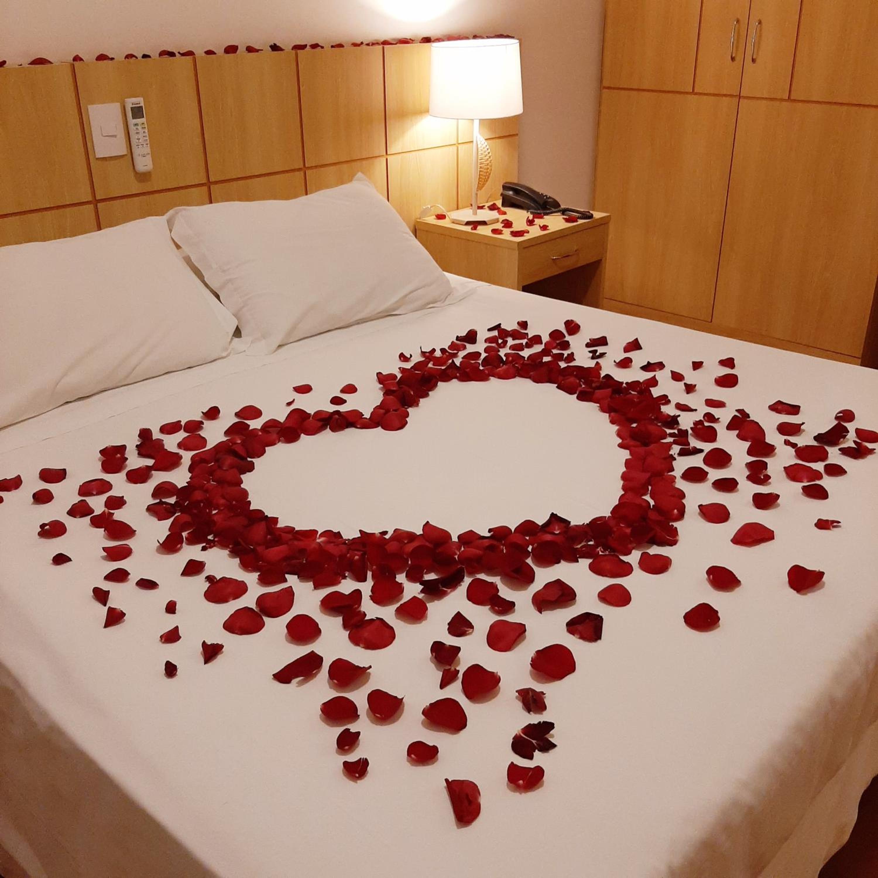 Double or Twin Room photo 3