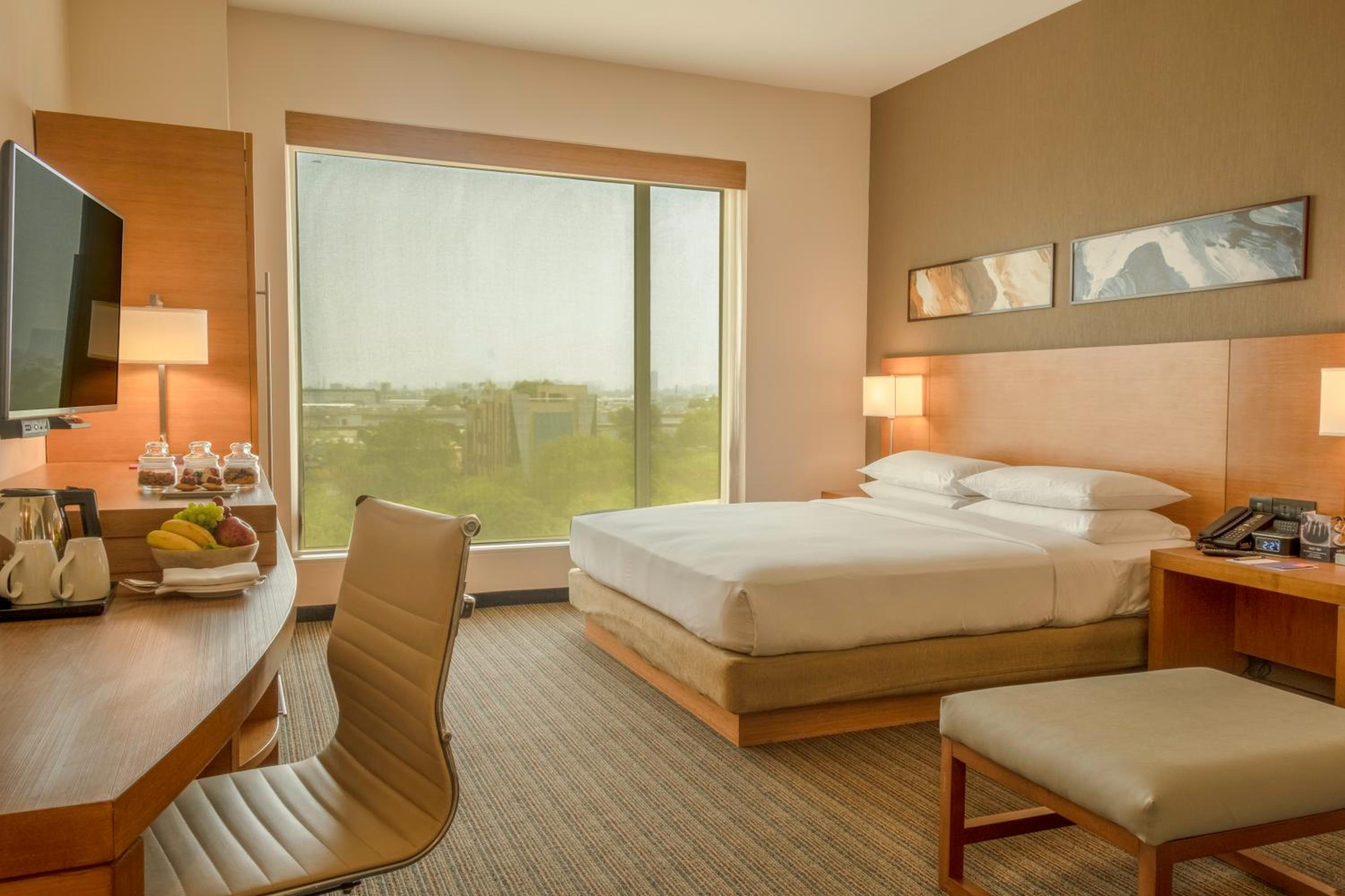 King Room photo 1
