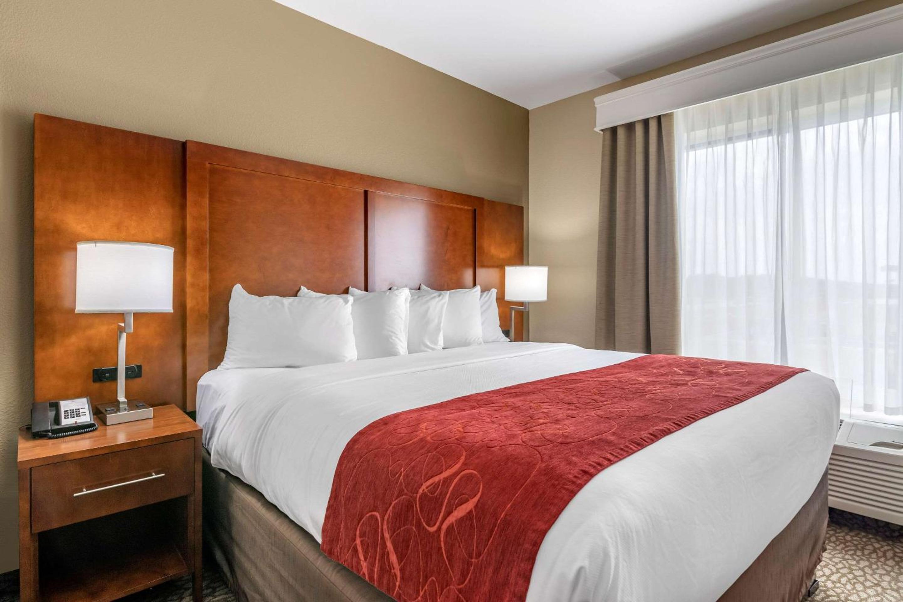 King Suite with Sofa Bed - Photo 5