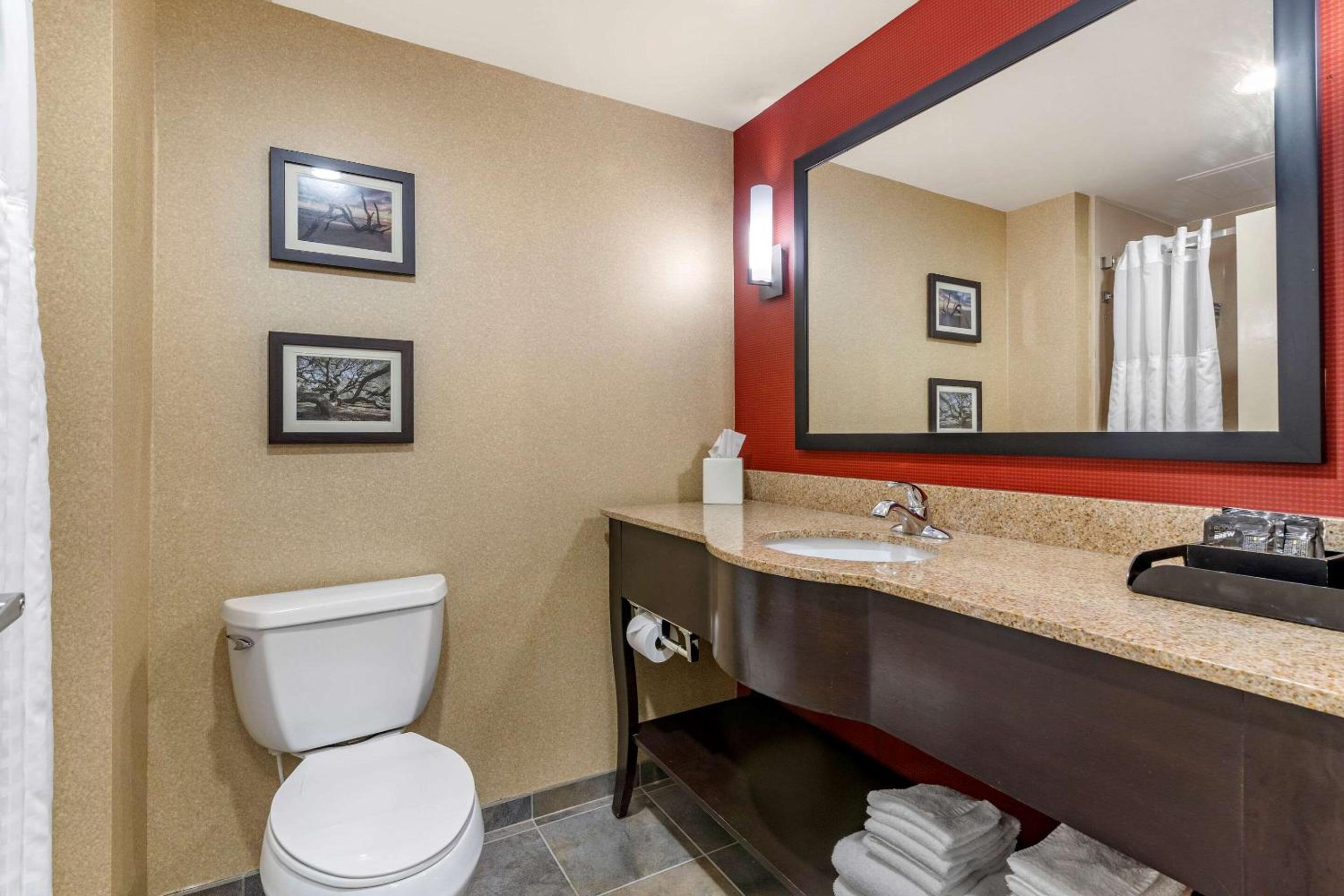 King Suite with Sofa Bed - Photo 4