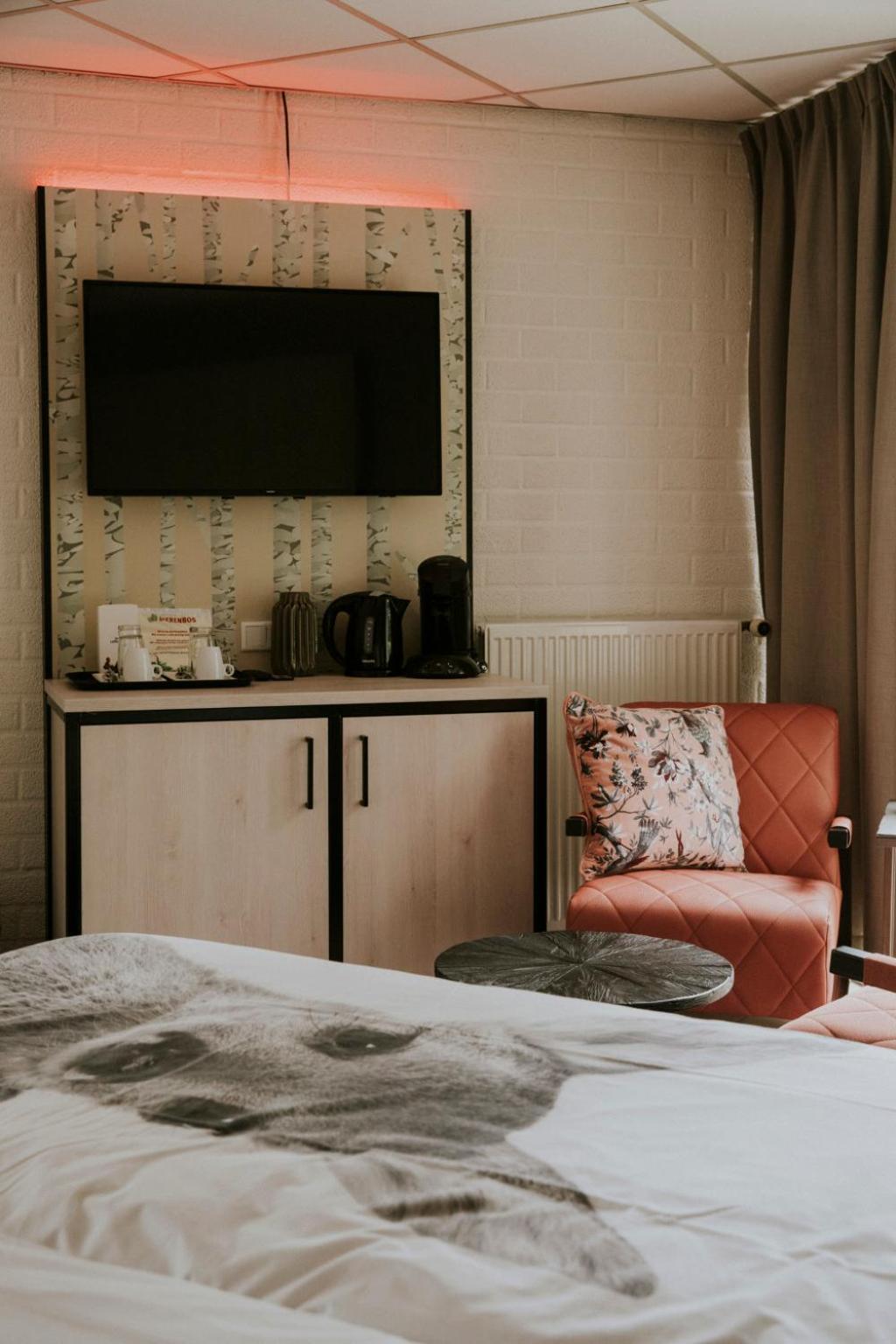 Room Butterfly photo 1