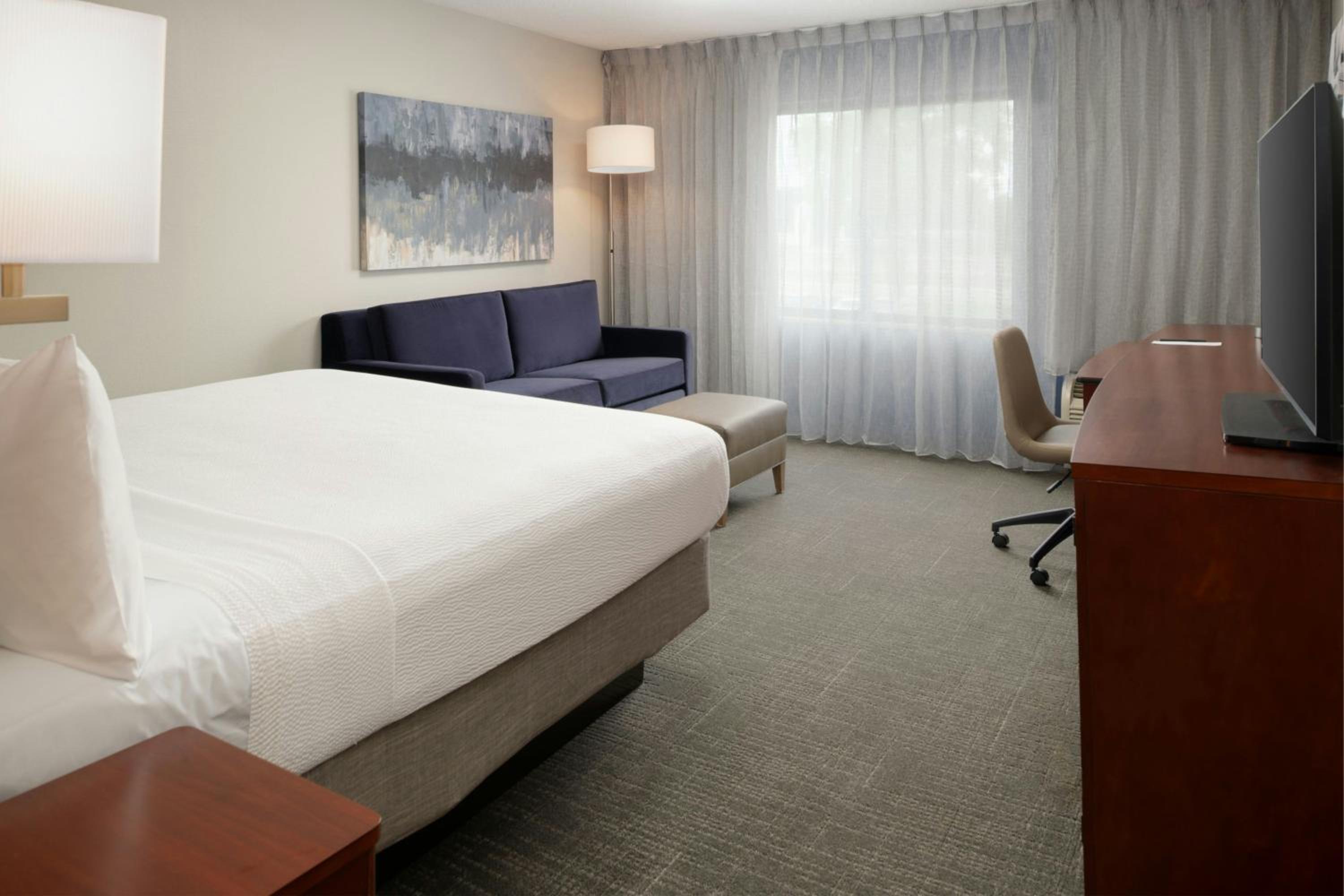 King Room with Roll-In Shower and Sofa Bed - Mobility Access/Hearing Accessible