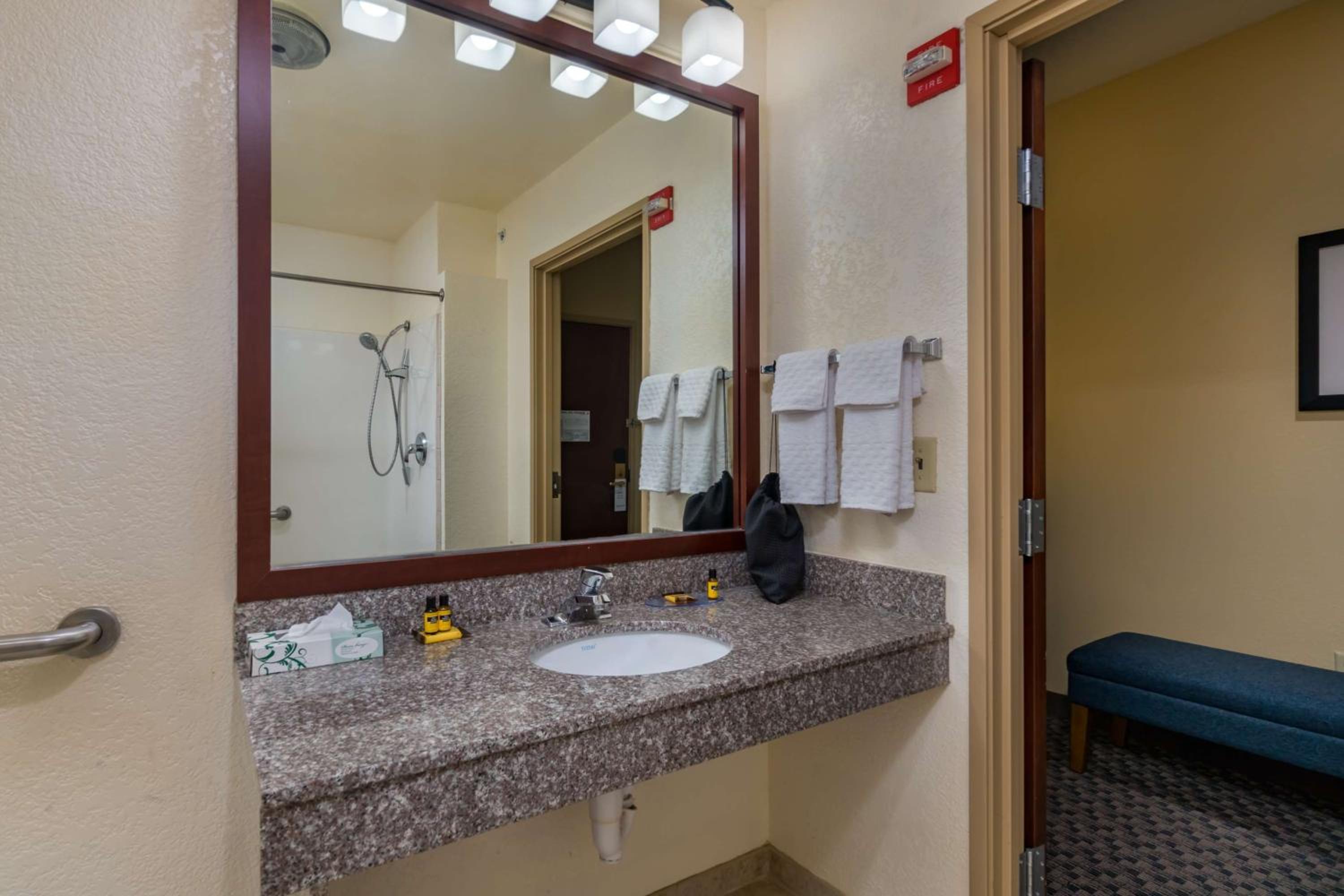 King Room with Larger Room and Roll-In Shower - Mobility Accessible/Non-Smoking photo 3