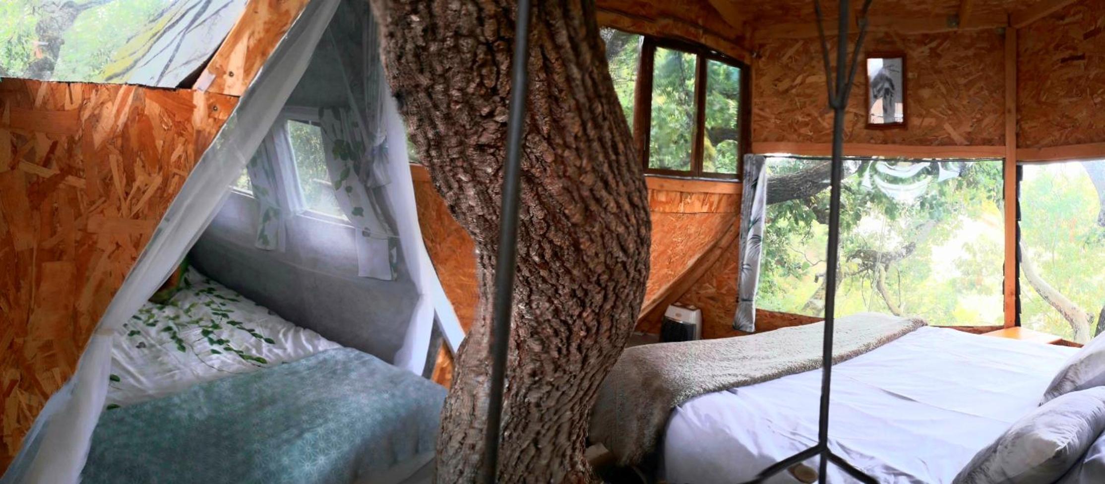 Treehouse with Mountain View photo 2