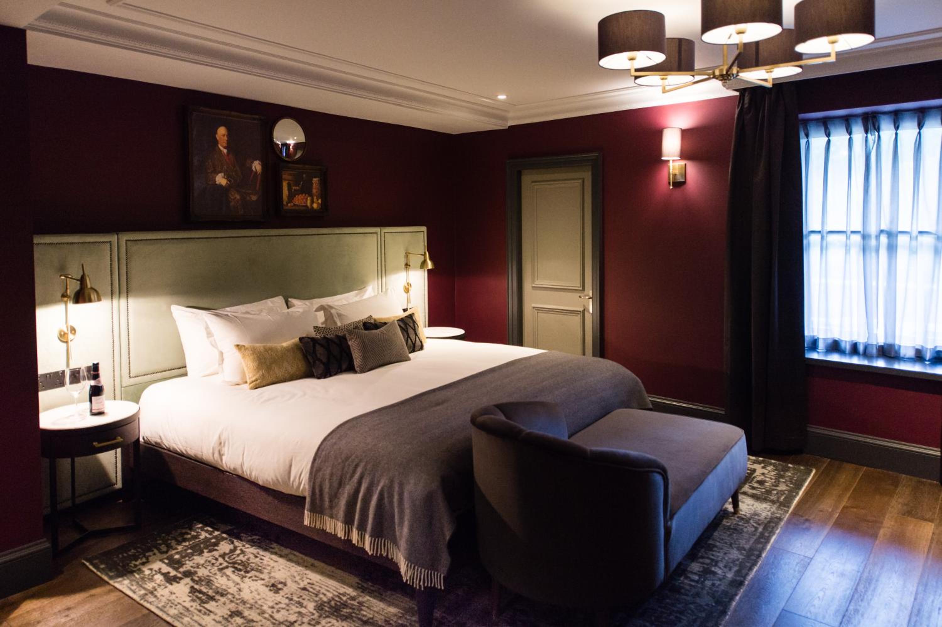 Suite - Photo 1