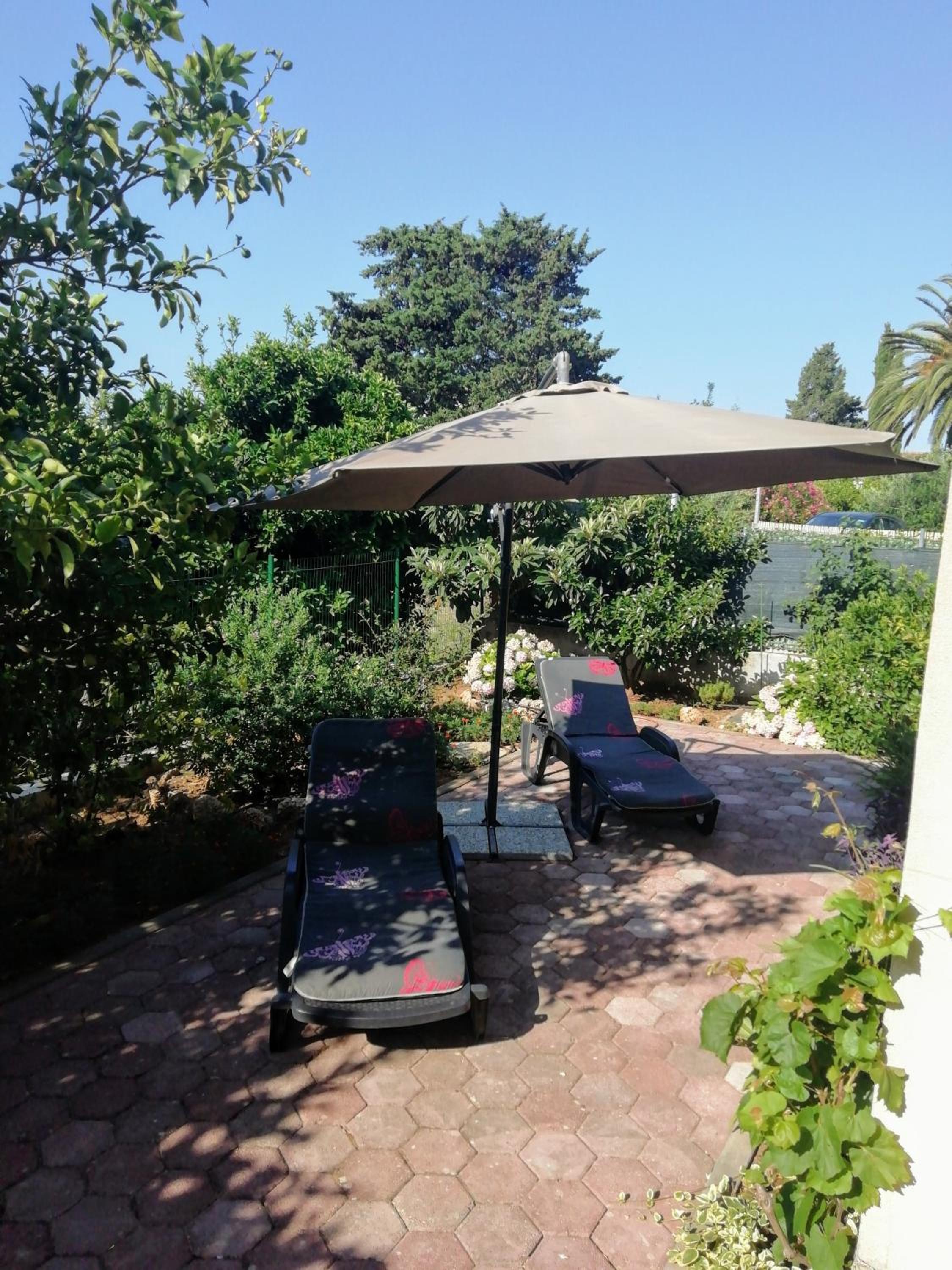 Apartment - Ground Floor photo 2