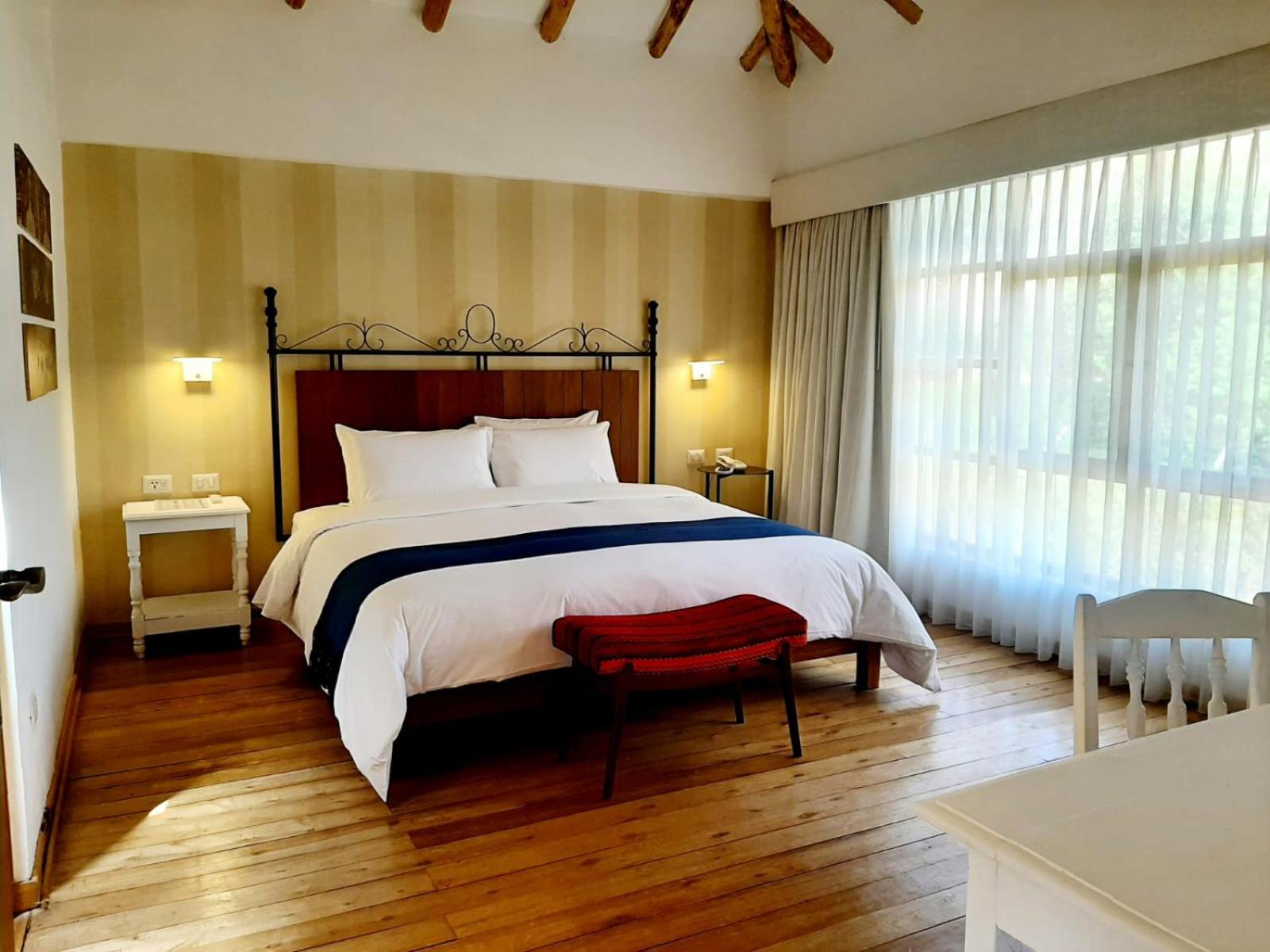 Premium King Room photo 2