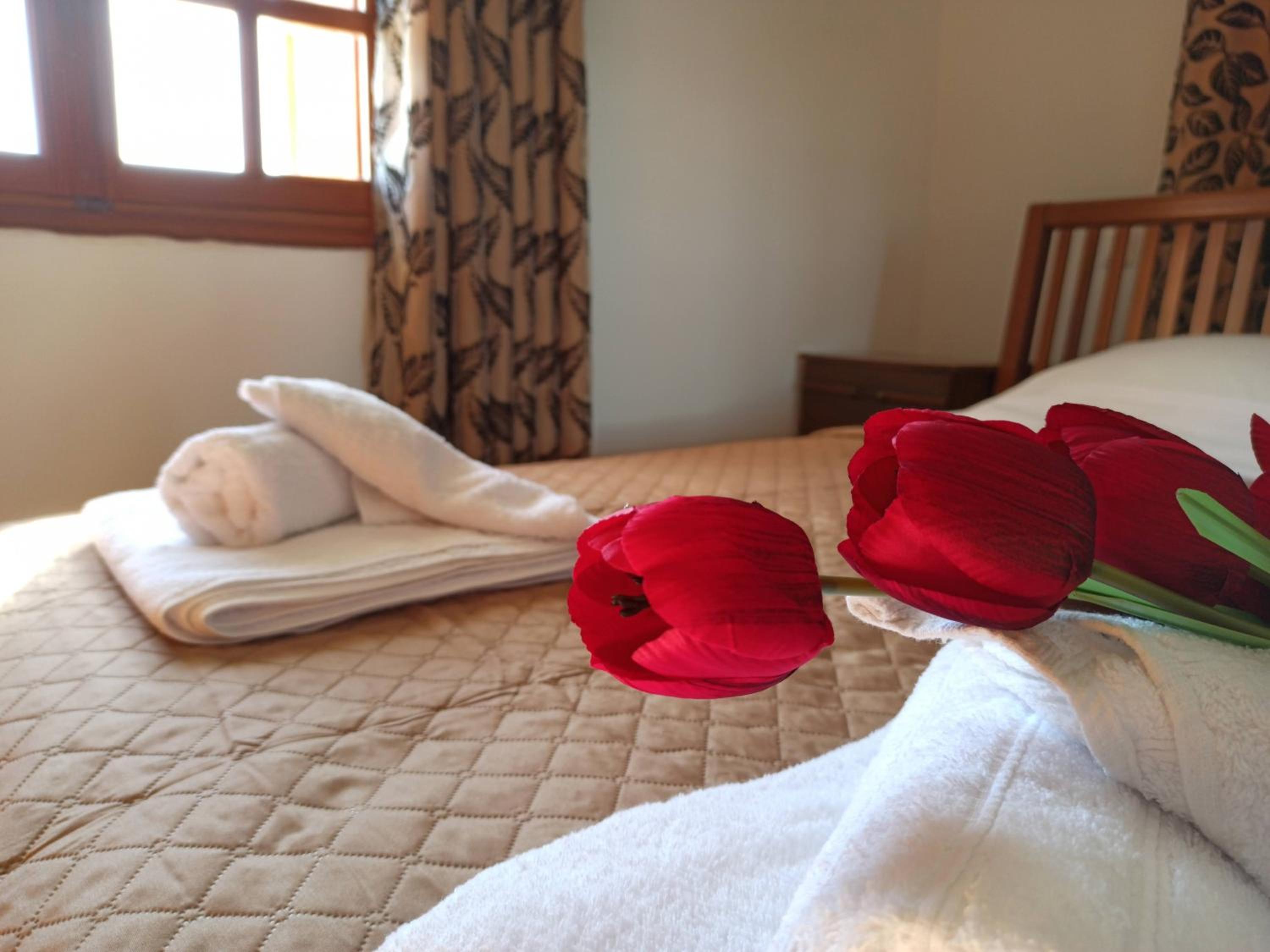 Vacation Home - Photo 25